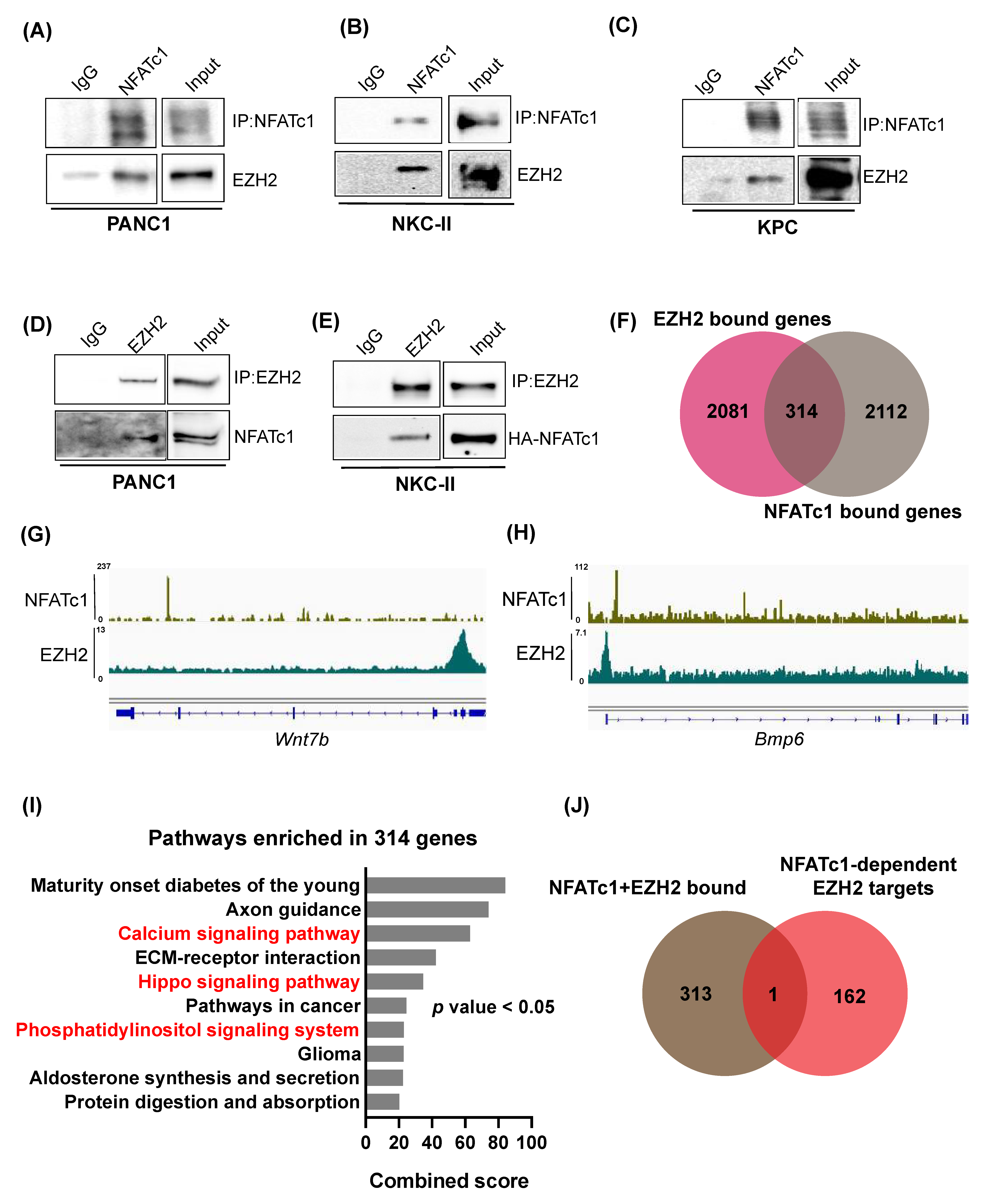 Cells 10 03463 g004 Cells 10 03463 g004