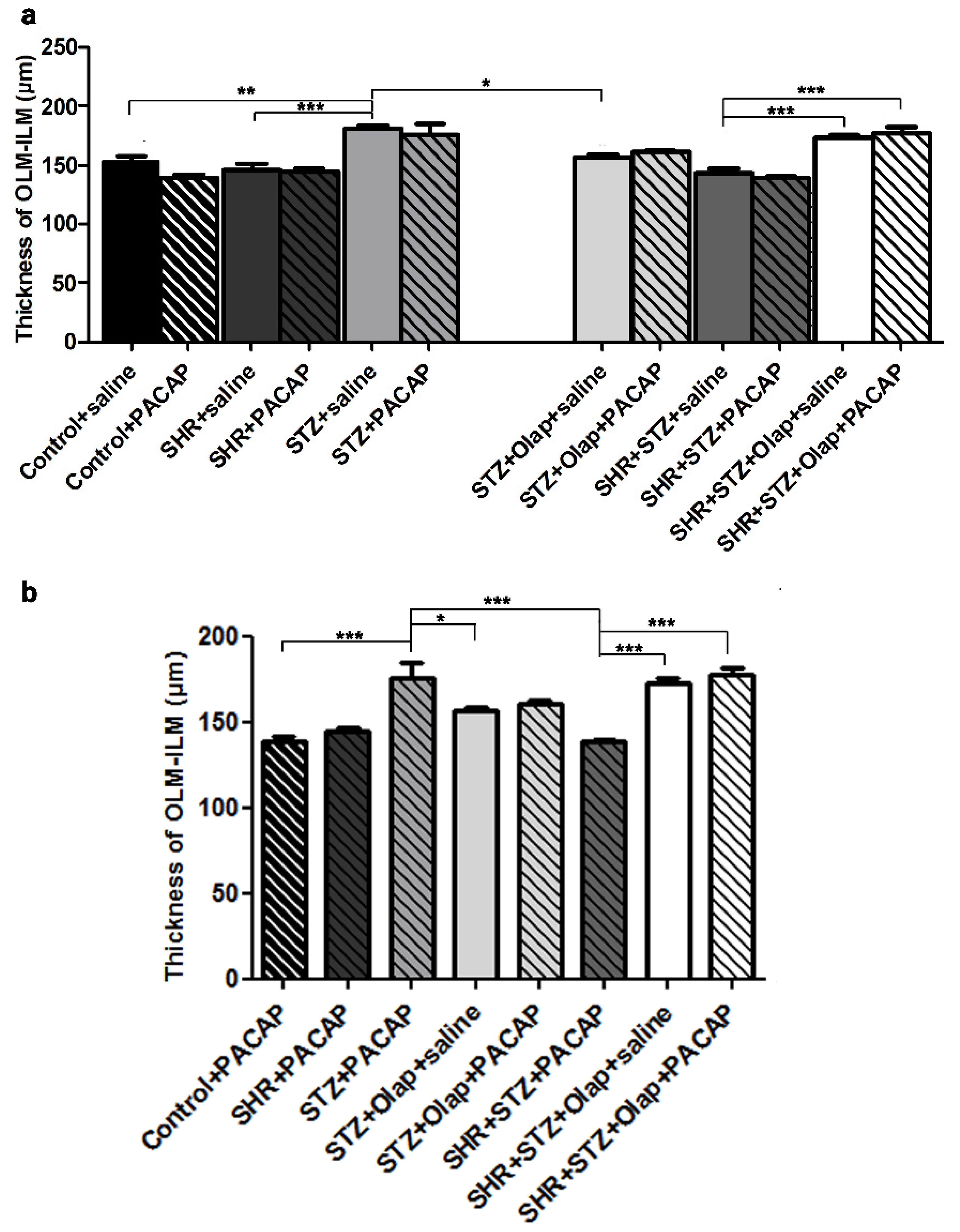 Cells 10 03470 g002 Cells 10 03470 g002