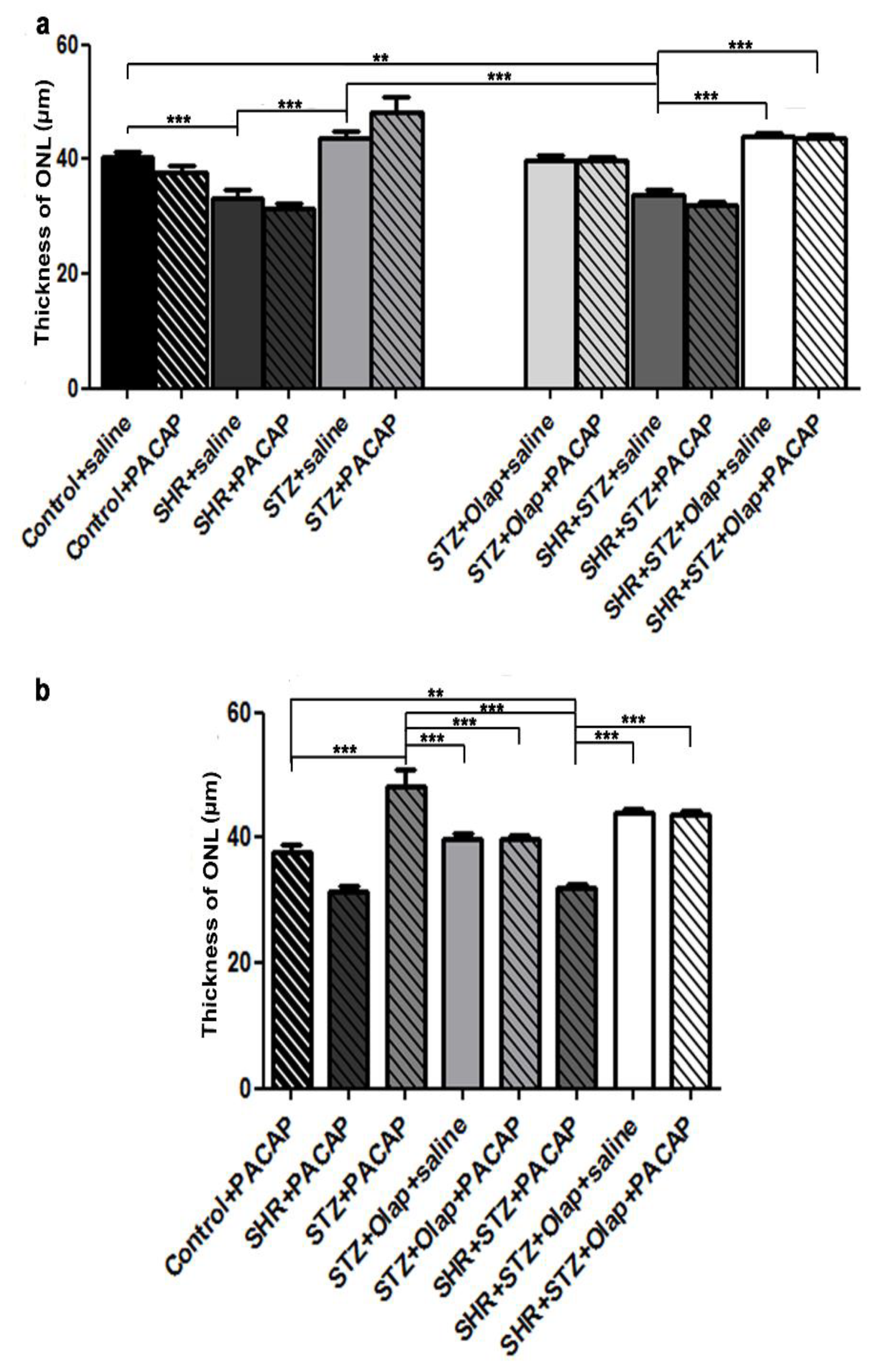 Cells 10 03470 g003 Cells 10 03470 g003