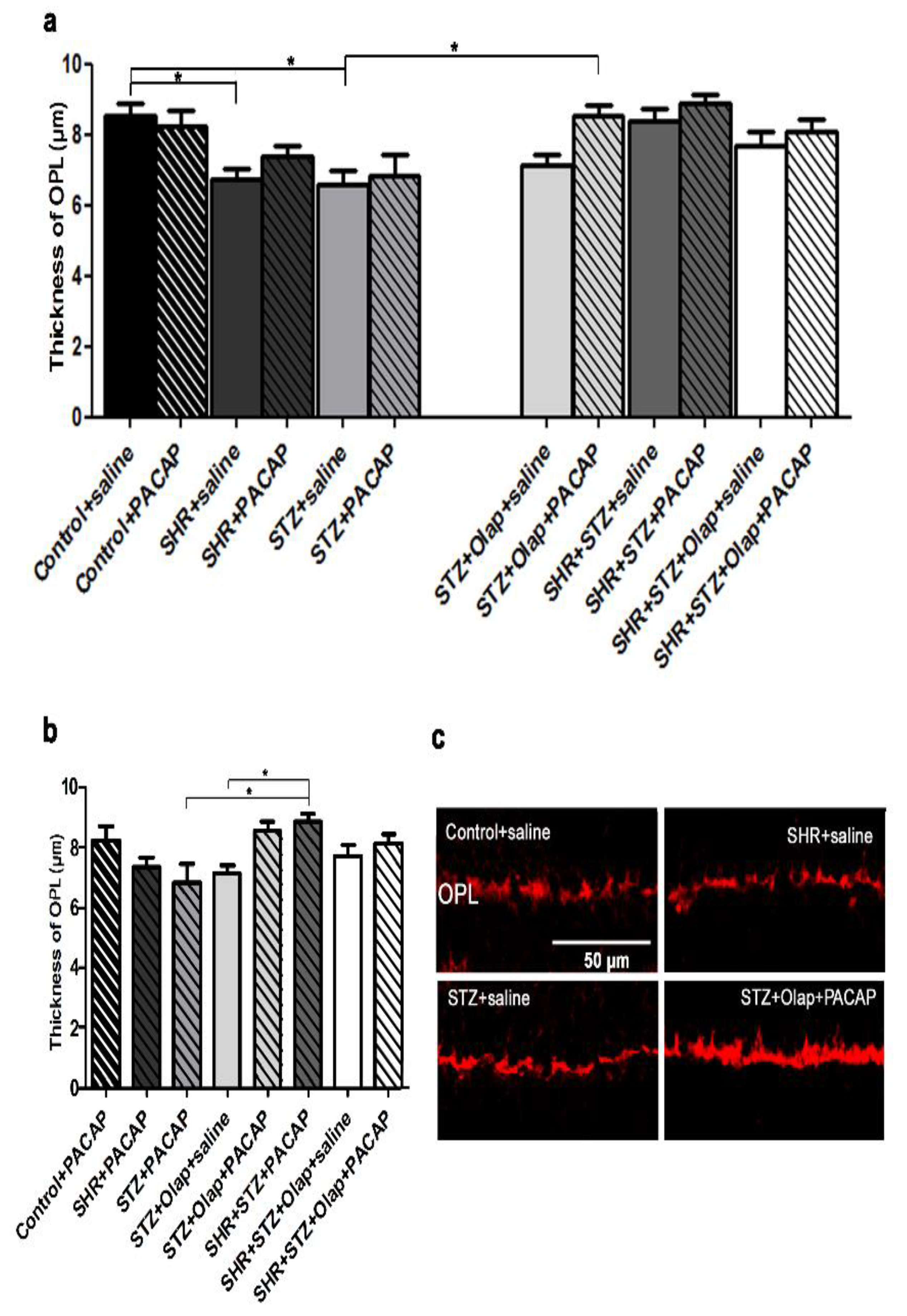 Cells 10 03470 g004 Cells 10 03470 g004
