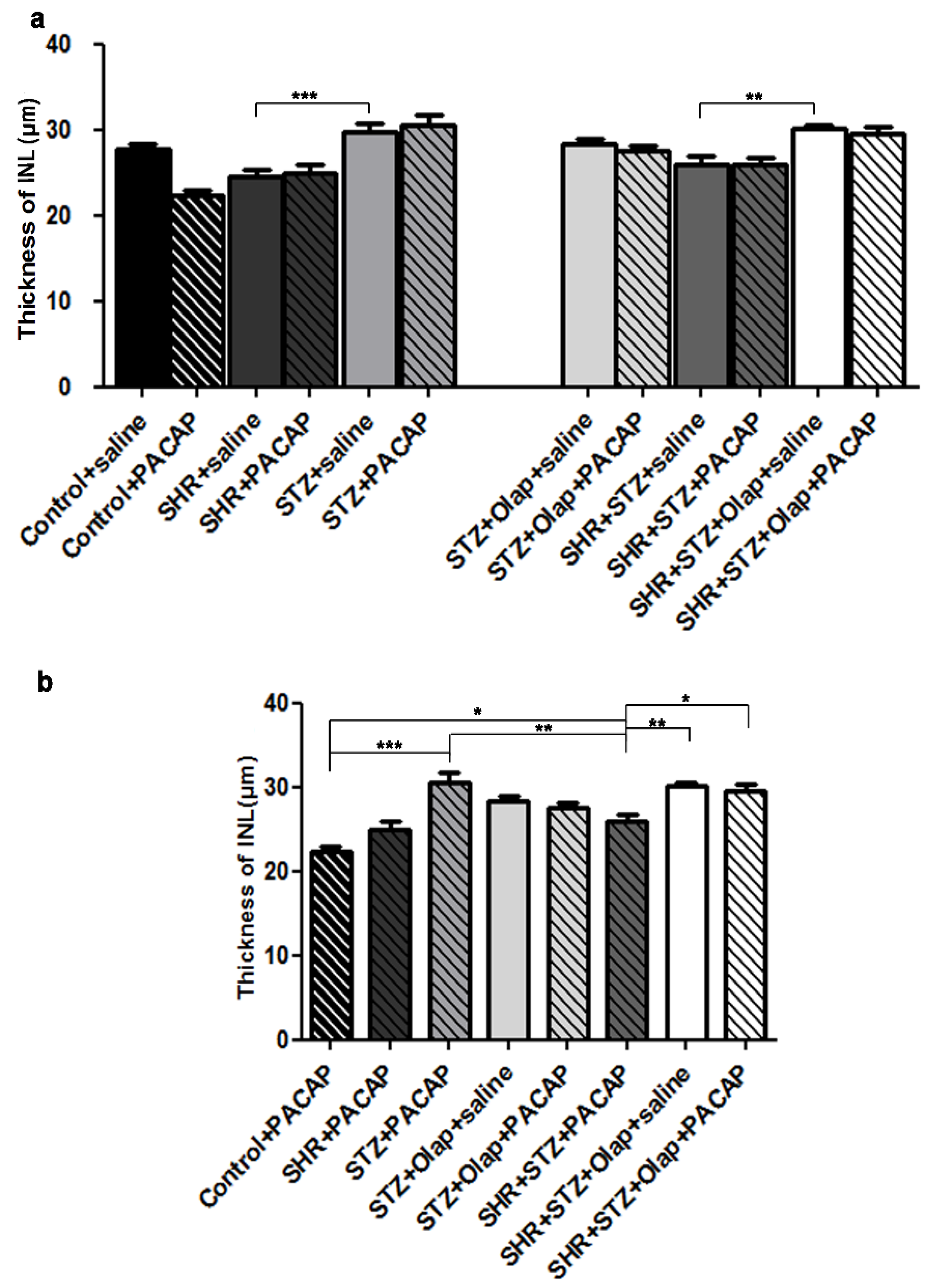 Cells 10 03470 g005 Cells 10 03470 g005