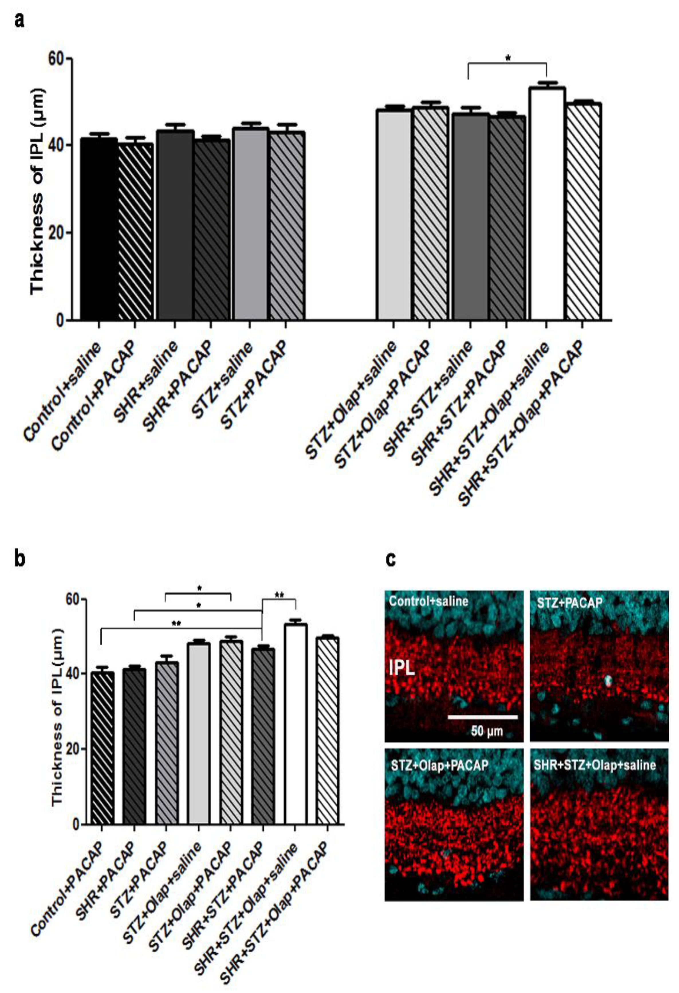 Cells 10 03470 g006 Cells 10 03470 g006