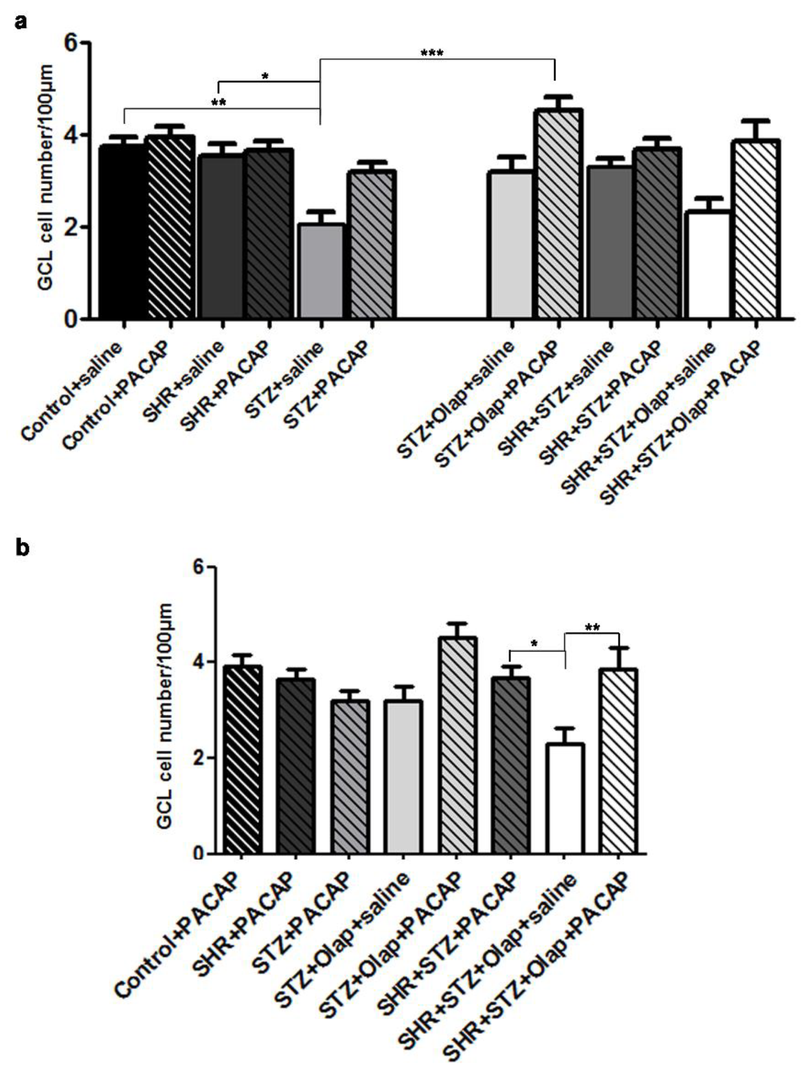 Cells 10 03470 g007 Cells 10 03470 g007