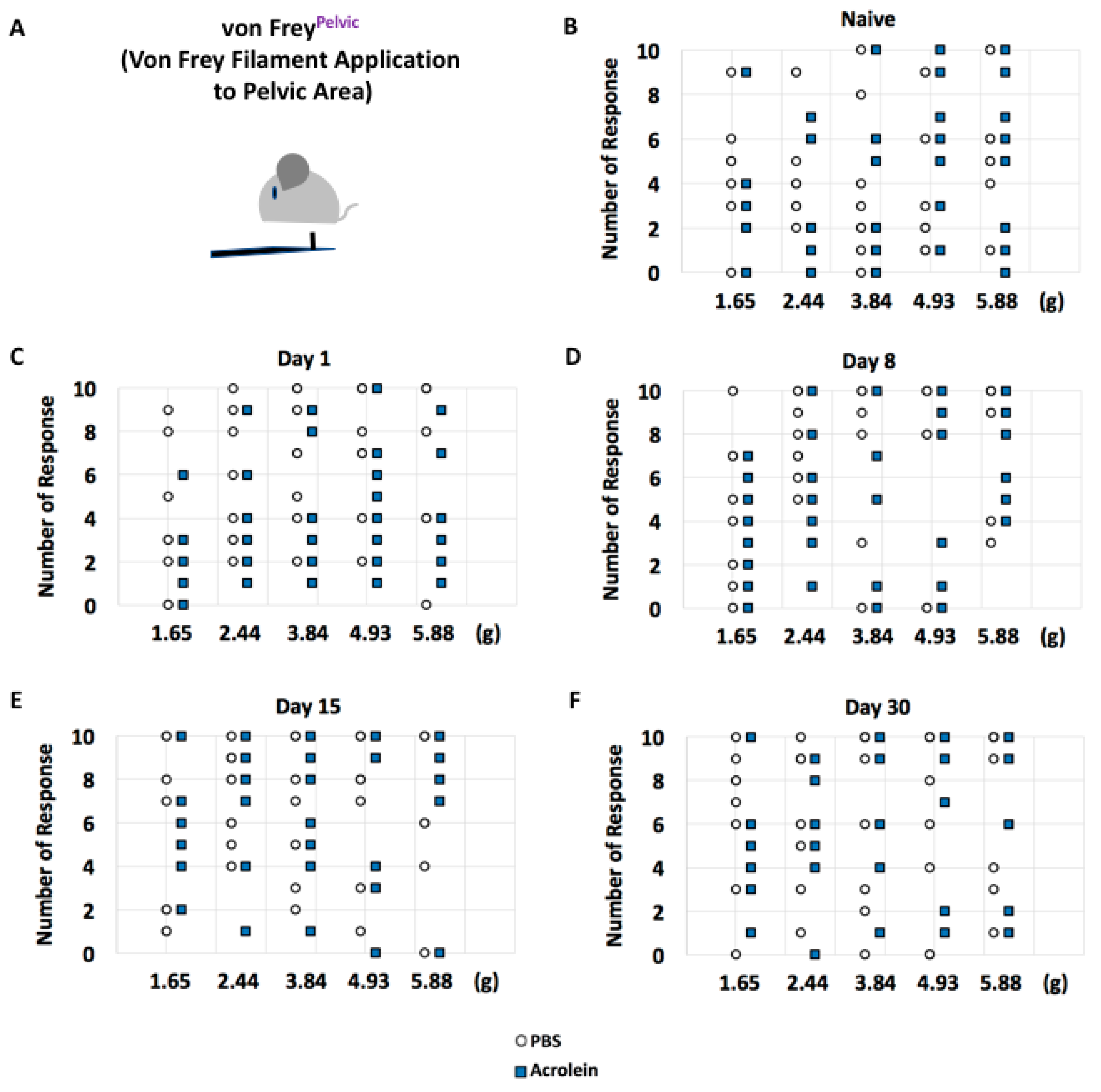 Cells 10 03477 g004 Cells 10 03477 g004