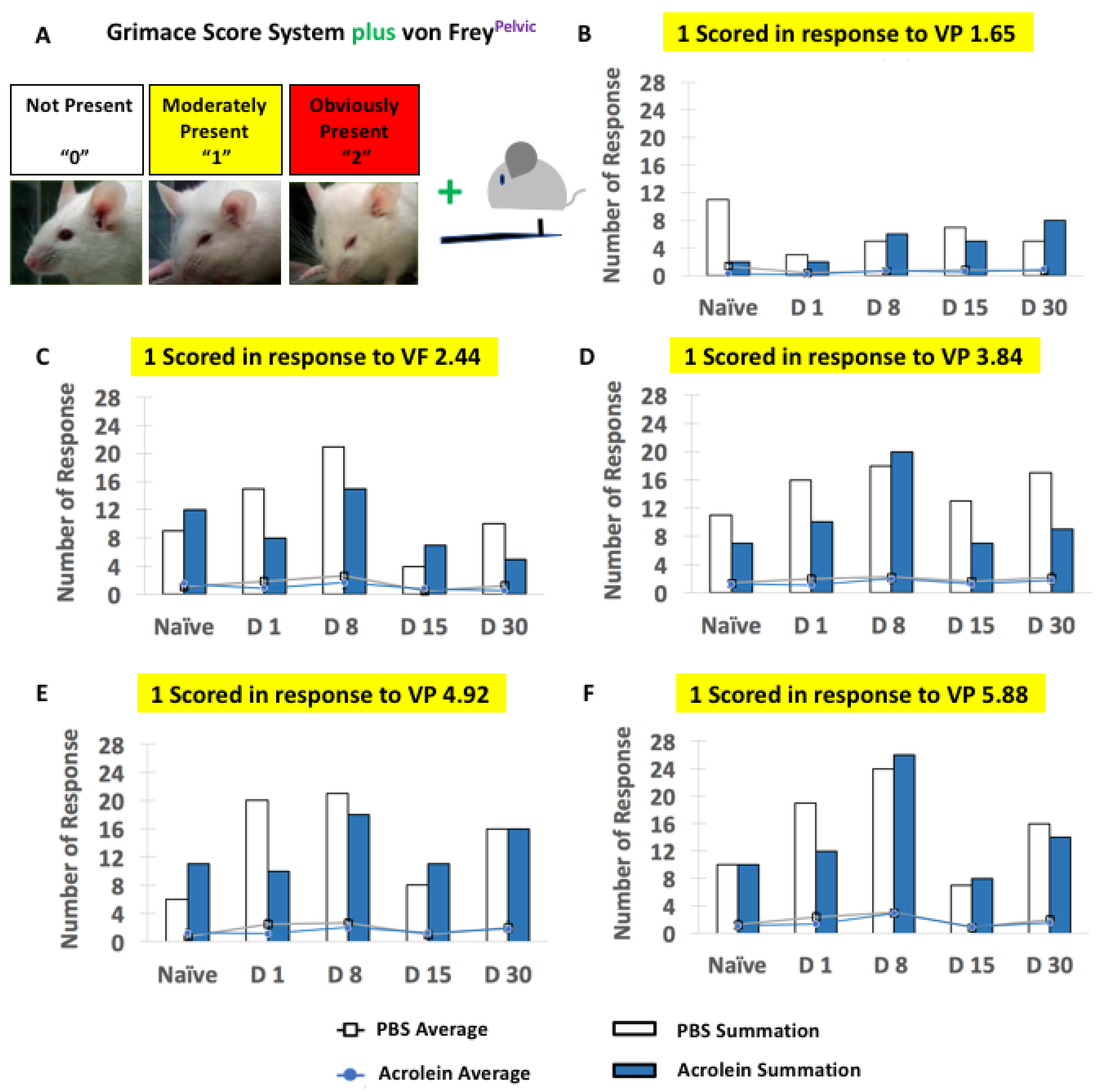 Cells 10 03477 g006 Cells 10 03477 g006
