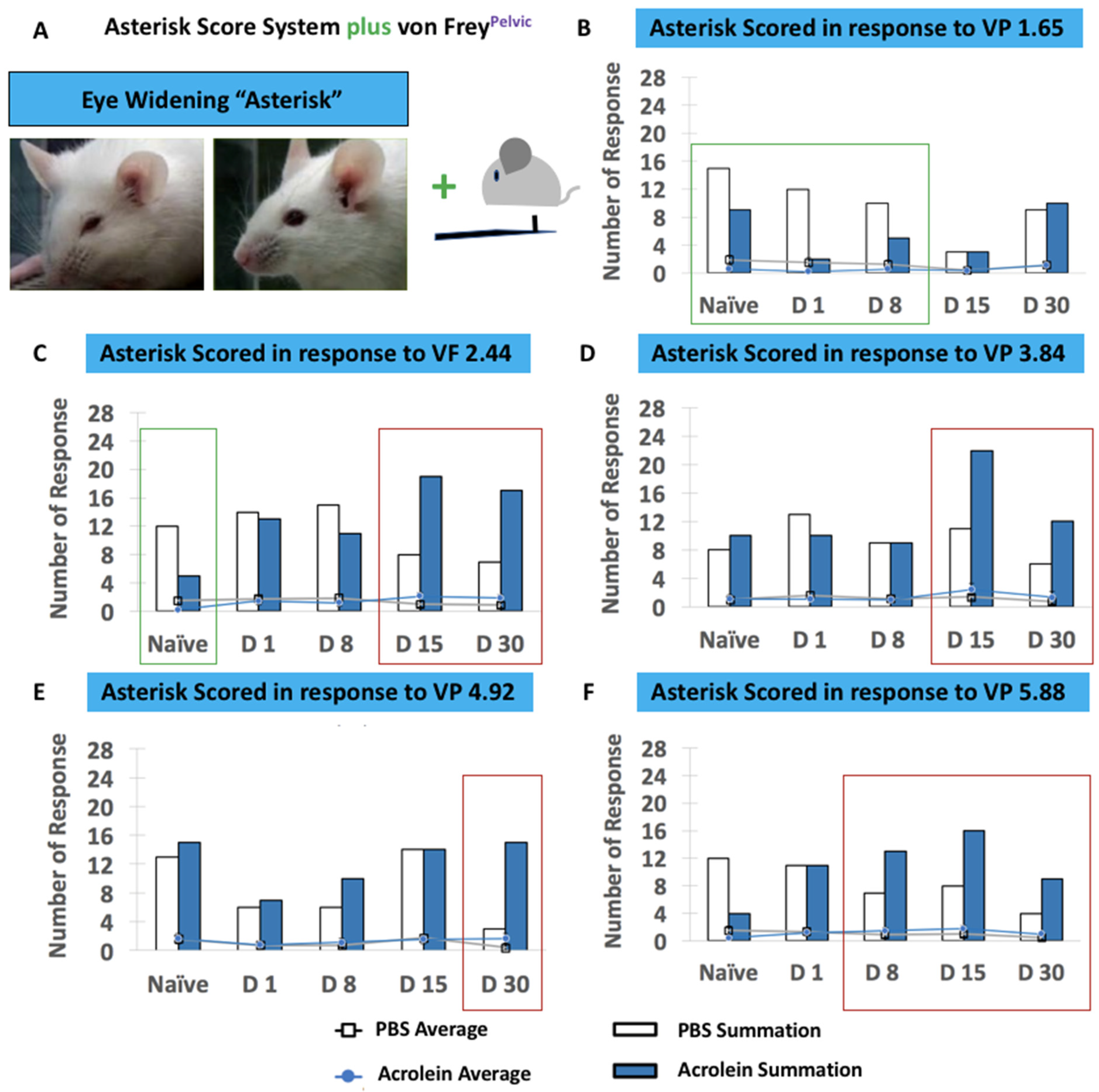 Cells 10 03477 g007 Cells 10 03477 g007