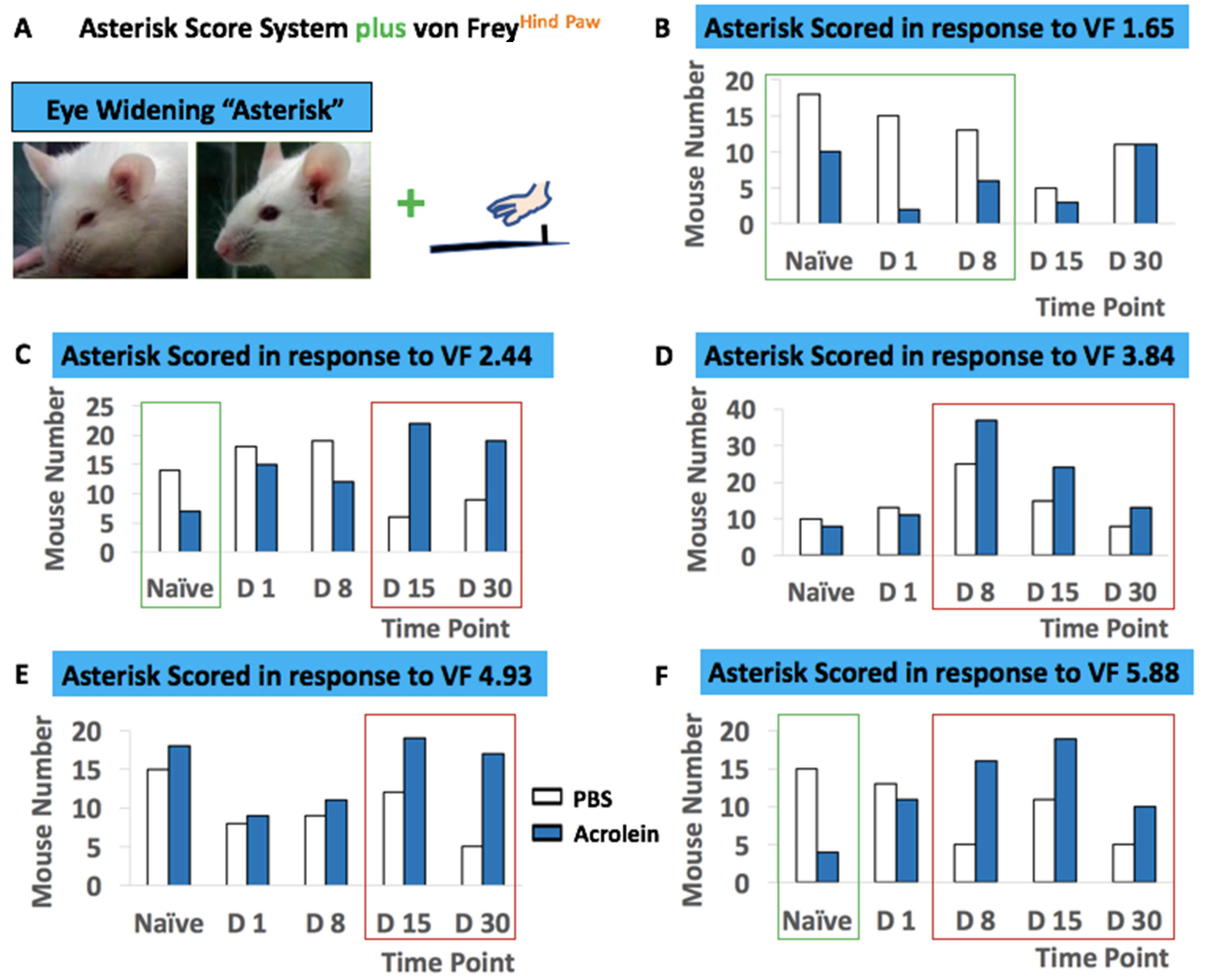 Cells 10 03477 g009 Cells 10 03477 g009