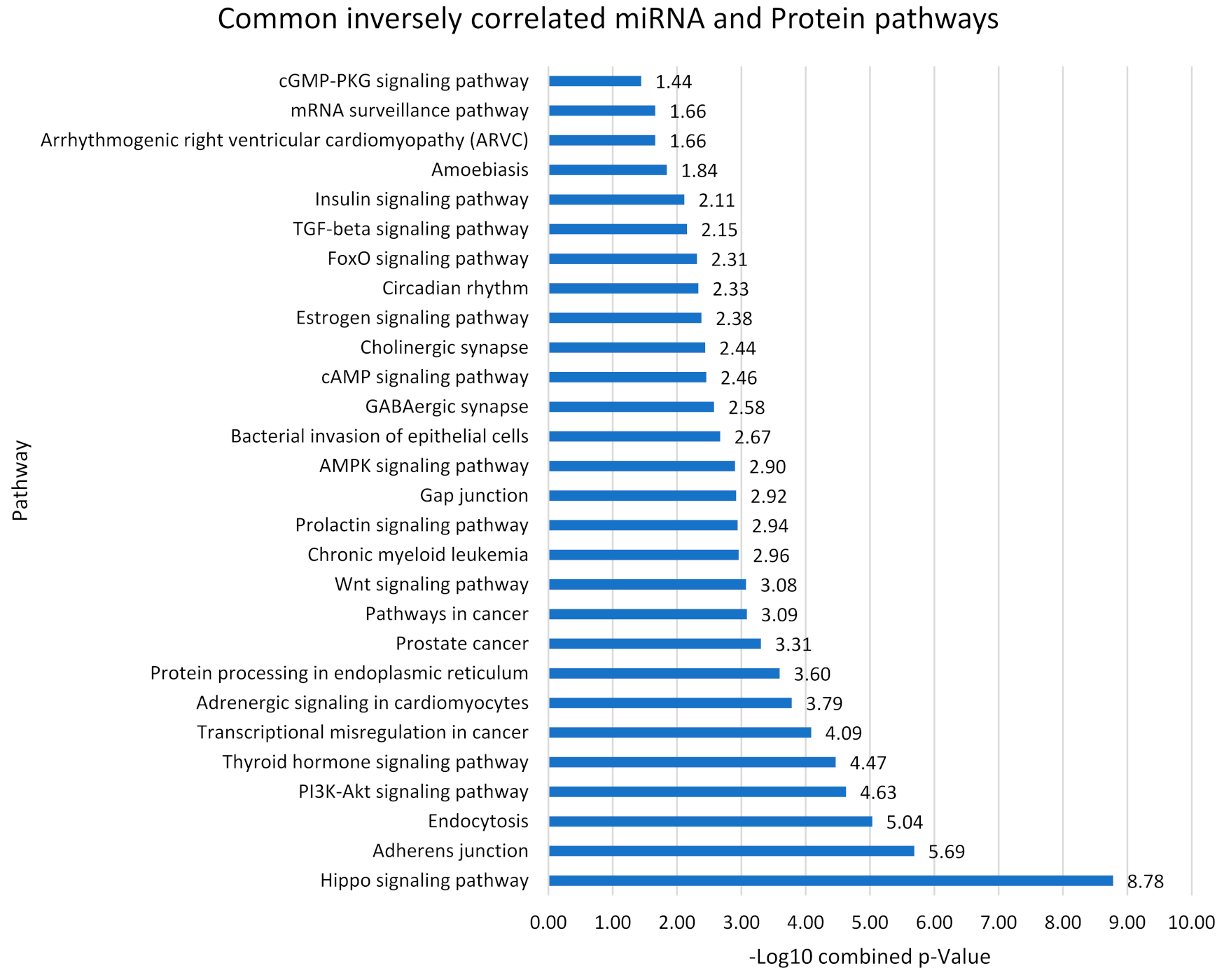 Cells 10 03479 g005 Cells 10 03479 g005