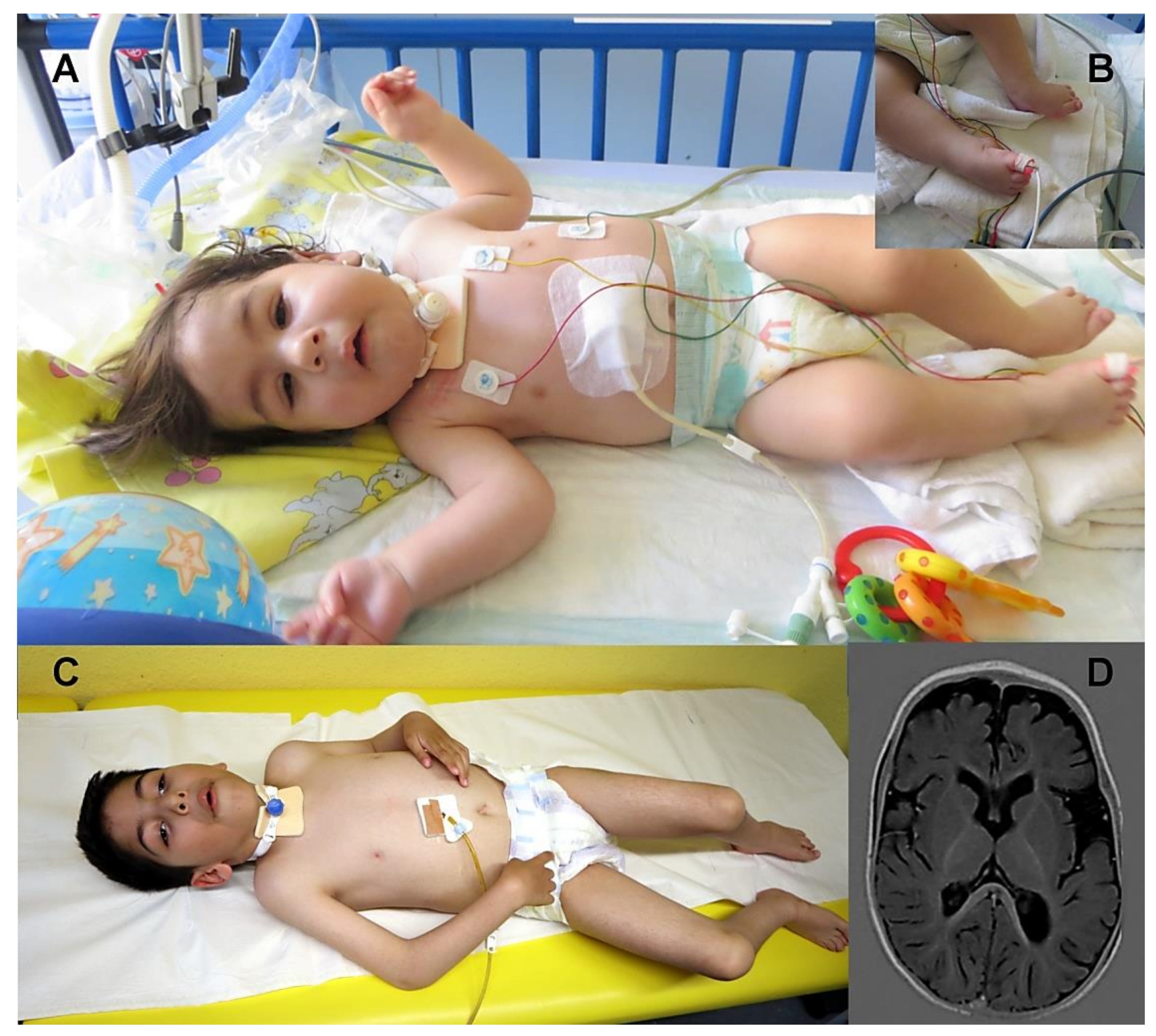 Cells 10 03481 g001 550