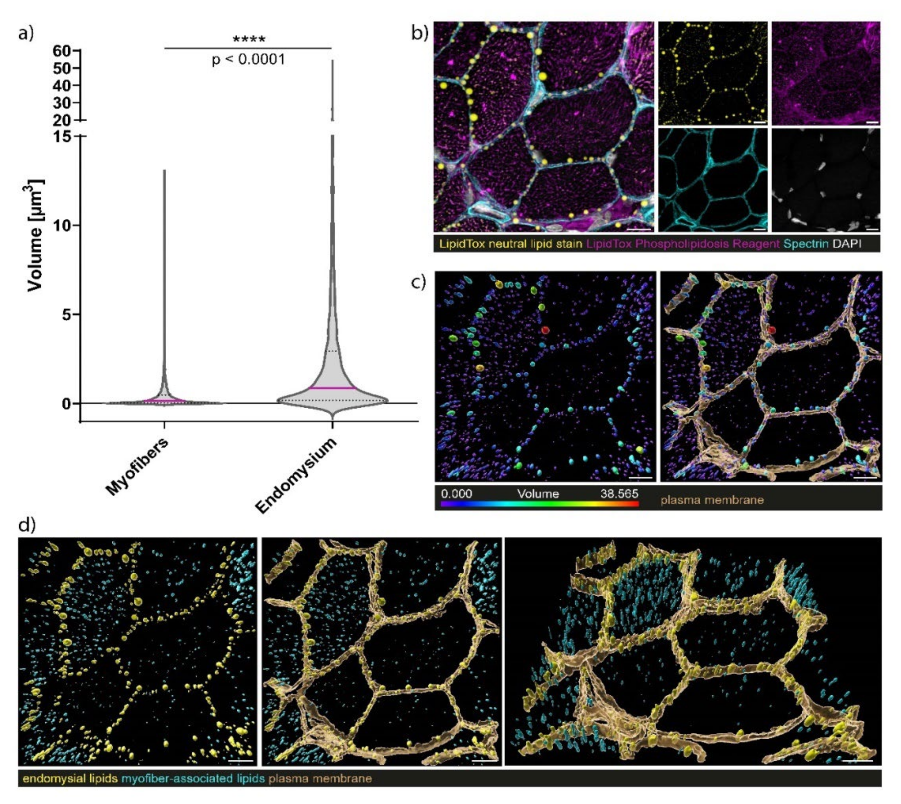 Cells 10 03481 g006 550