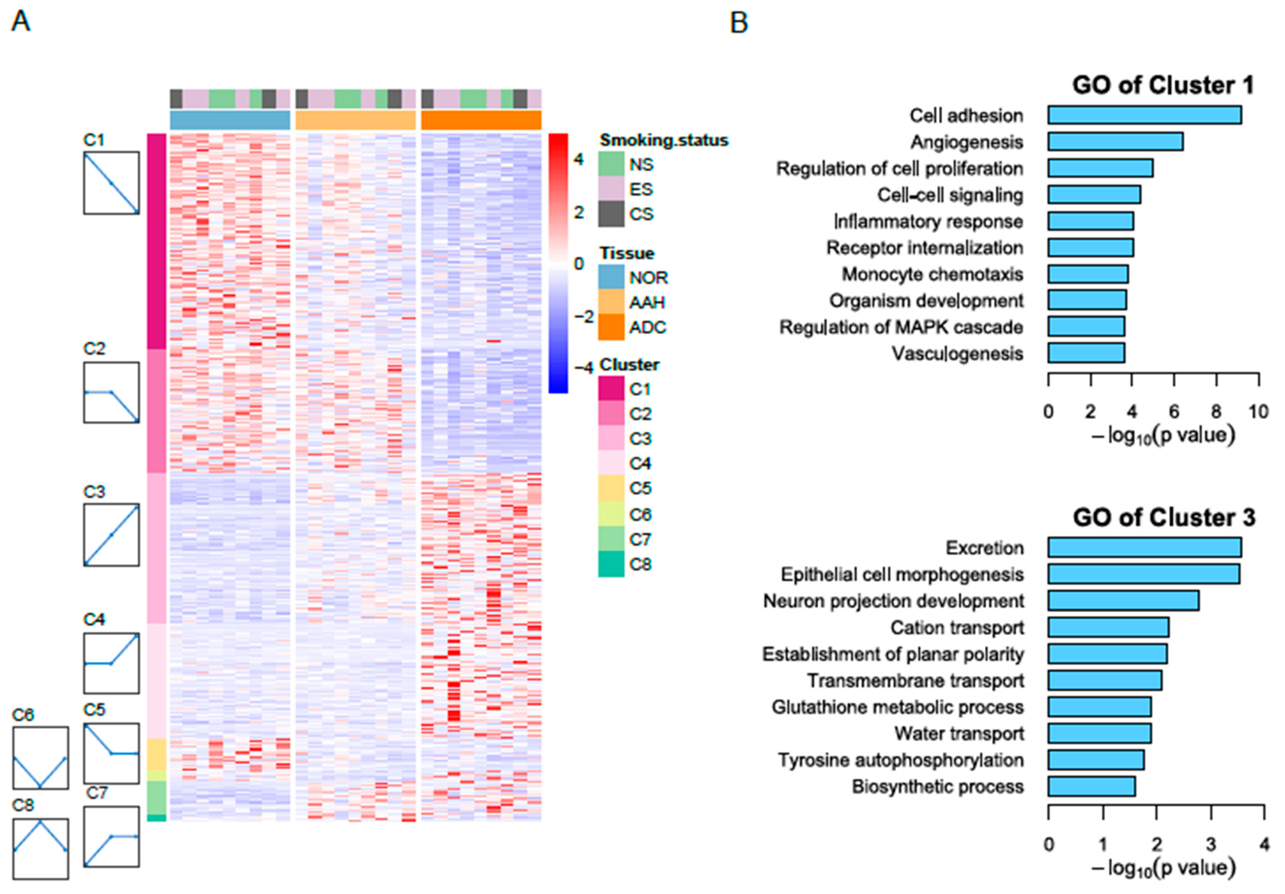 Cells 10 03484 g001 550
