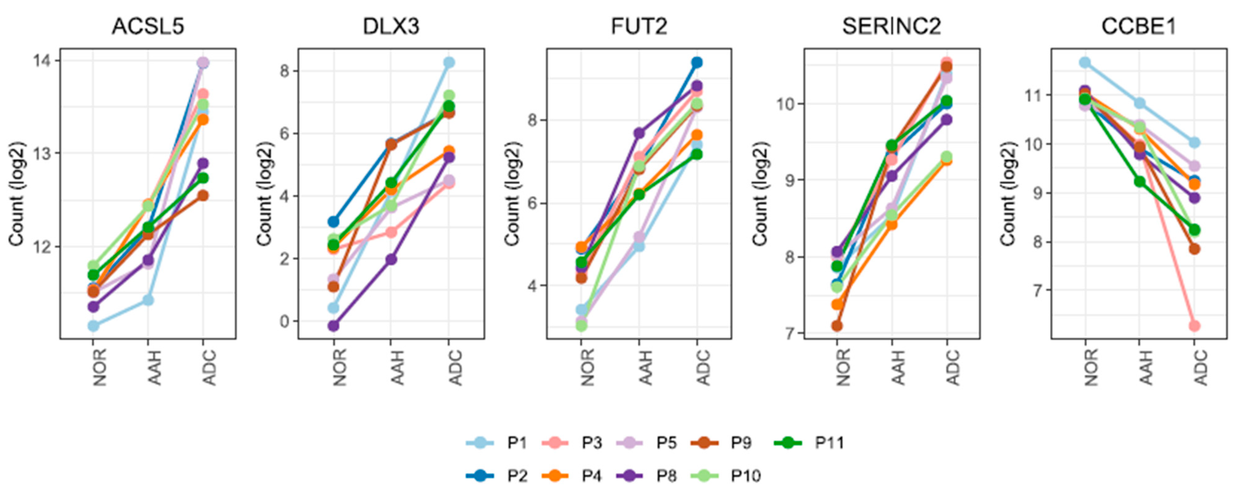 Cells 10 03484 g002 550