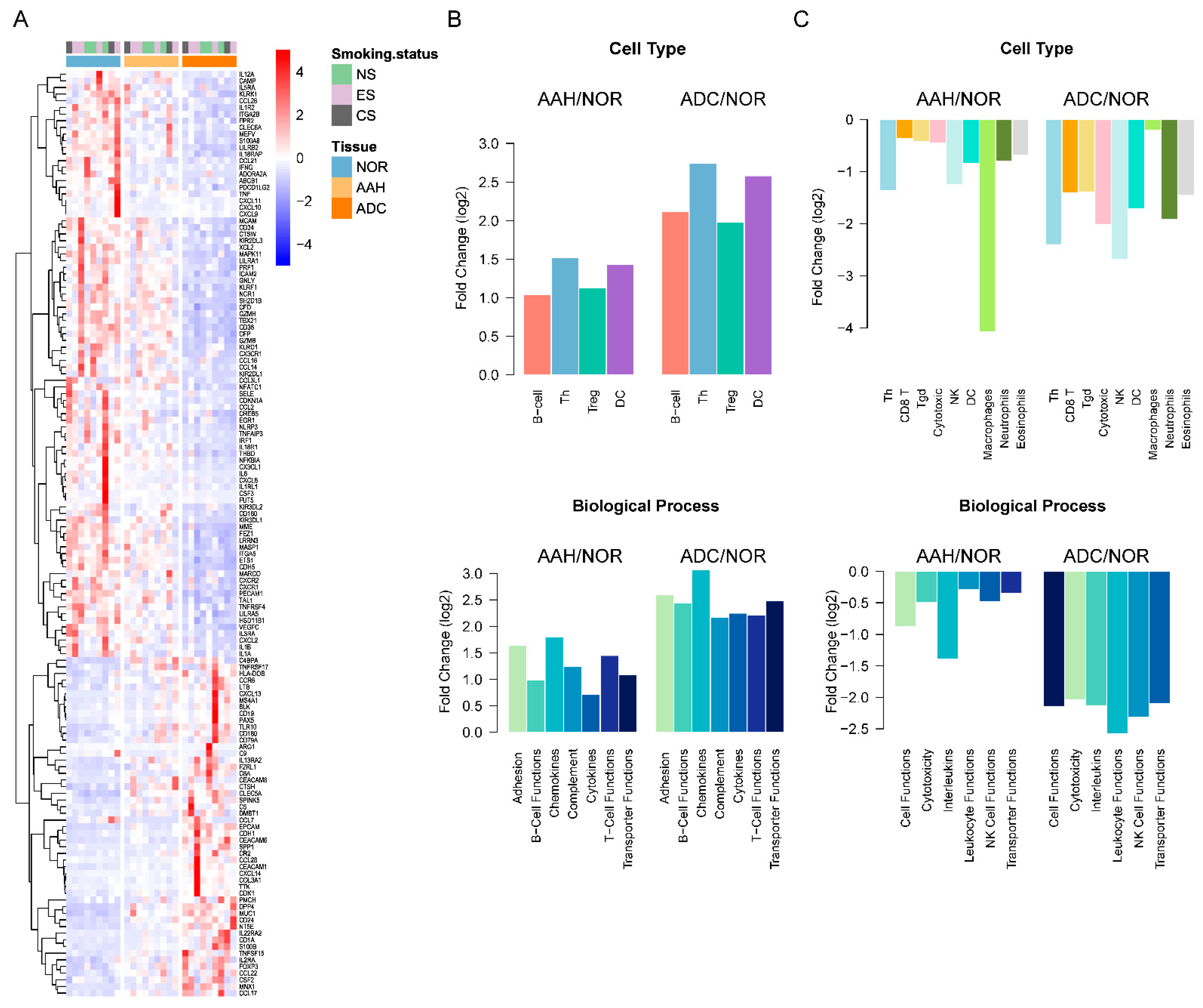 Cells 10 03484 g004 550
