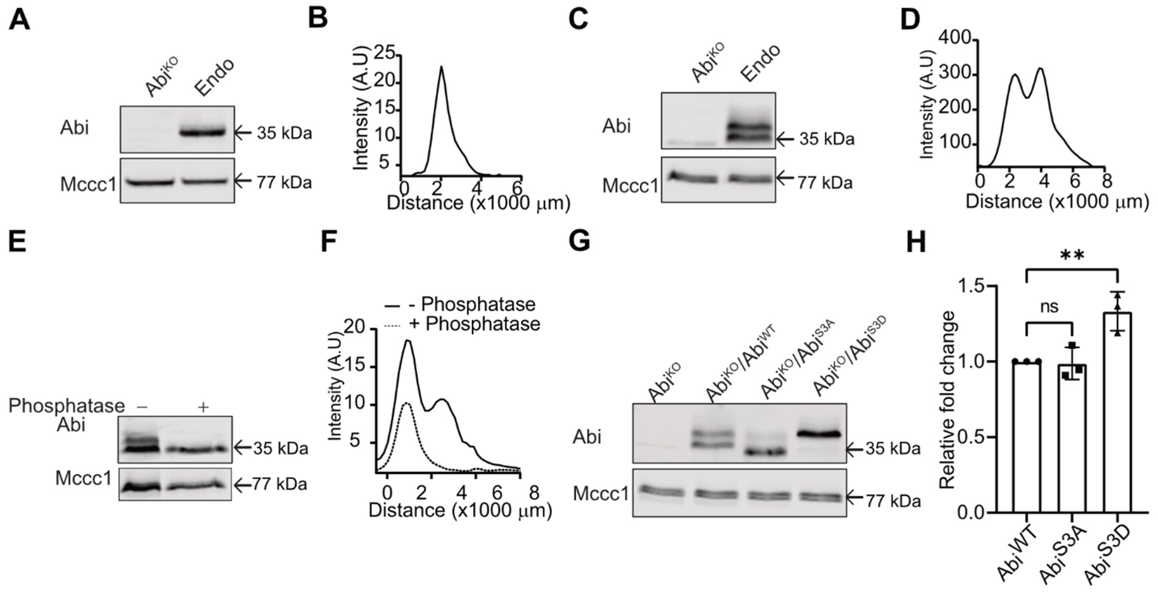 Cells 10 03485 g001 Cells 10 03485 g001