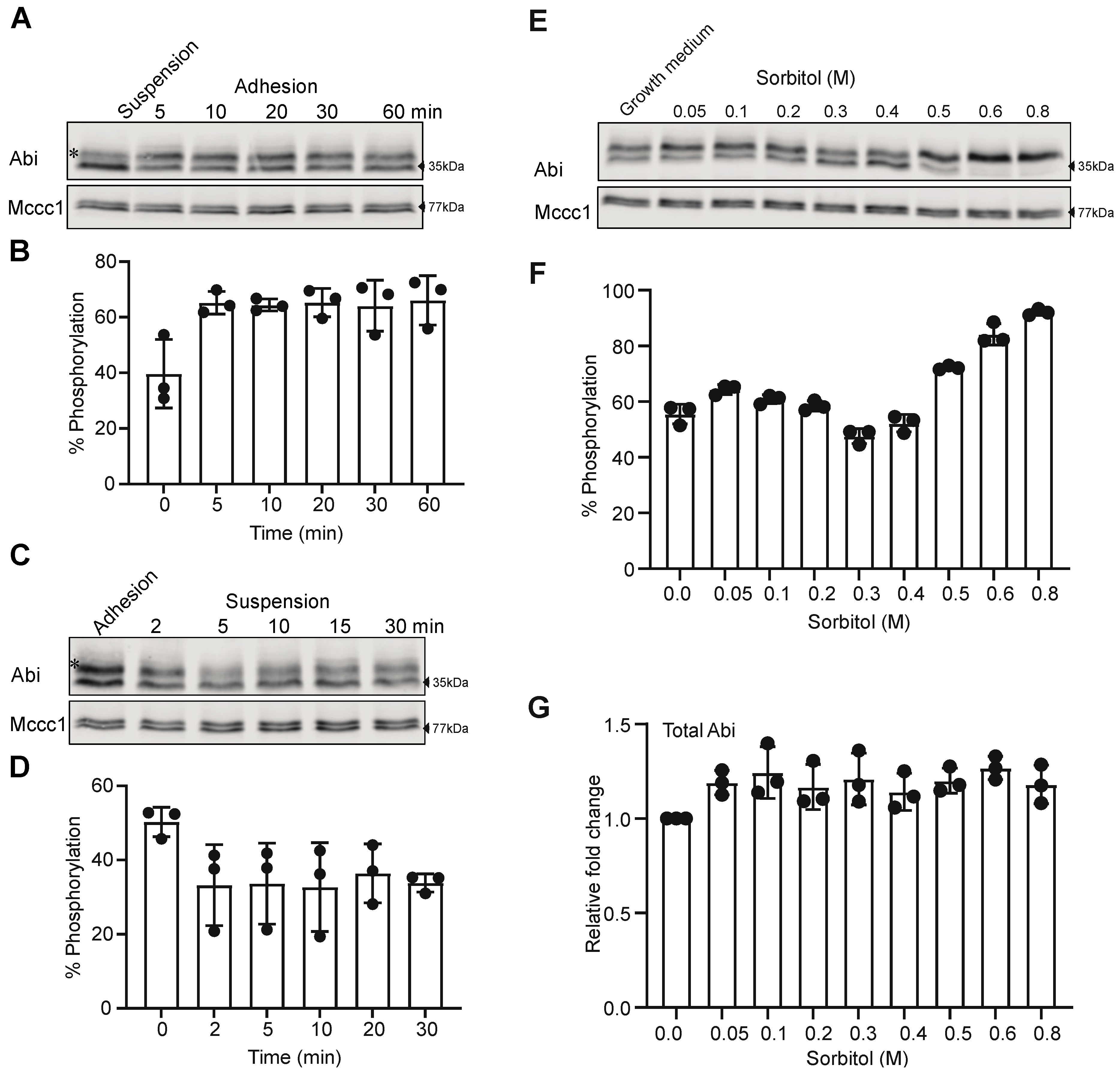 Cells 10 03485 g003 Cells 10 03485 g003