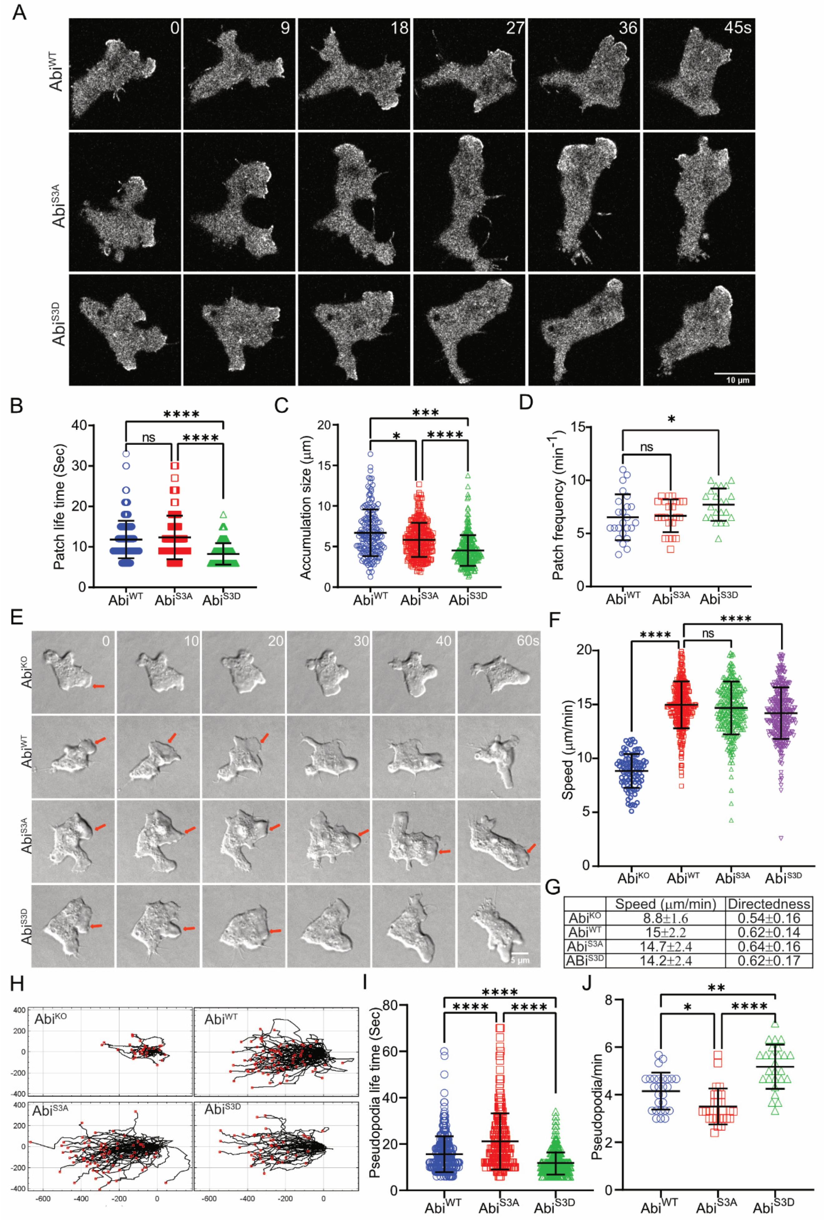 Cells 10 03485 g005 Cells 10 03485 g005