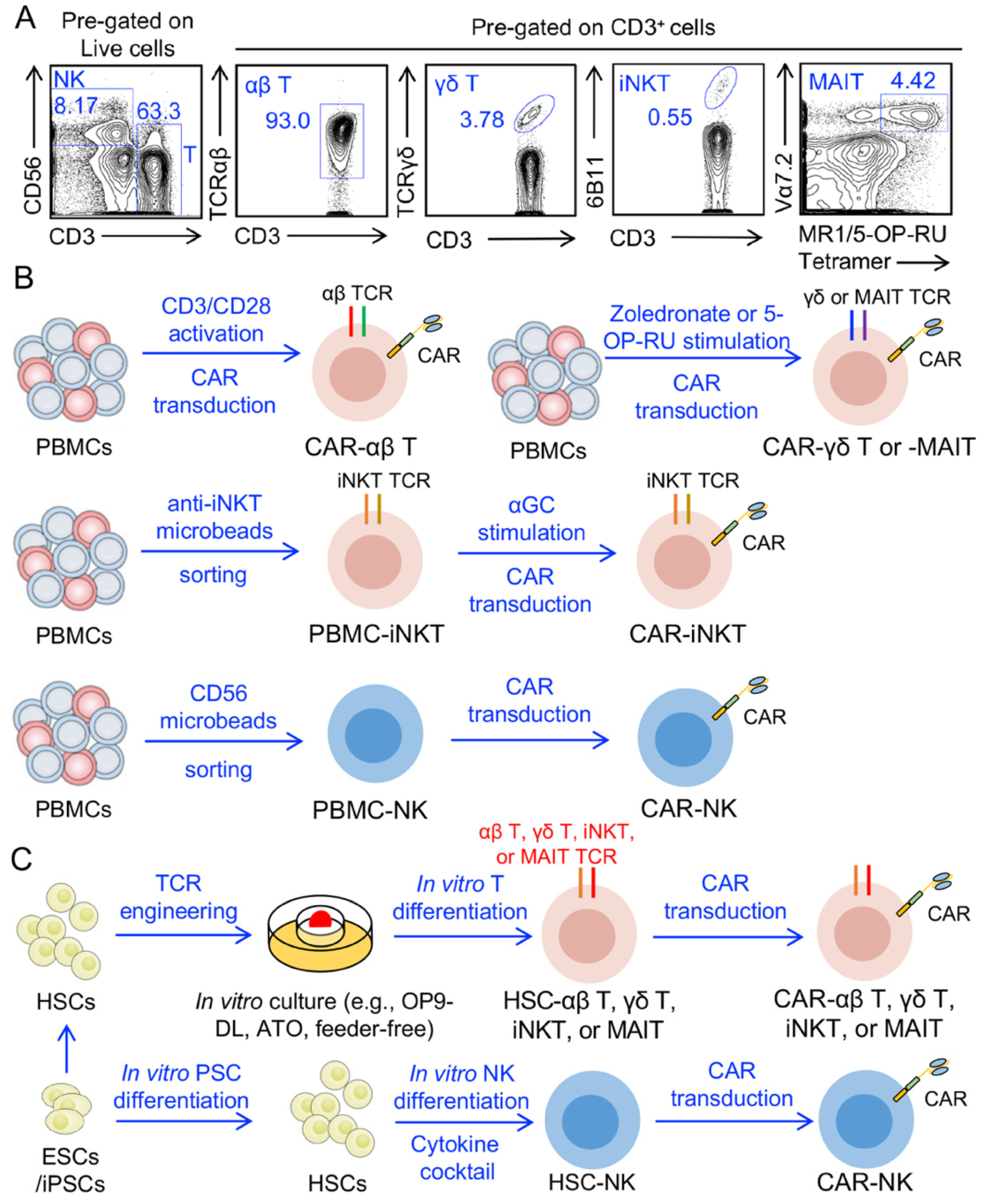 Cells 10 03497 g002 Cells 10 03497 g002
