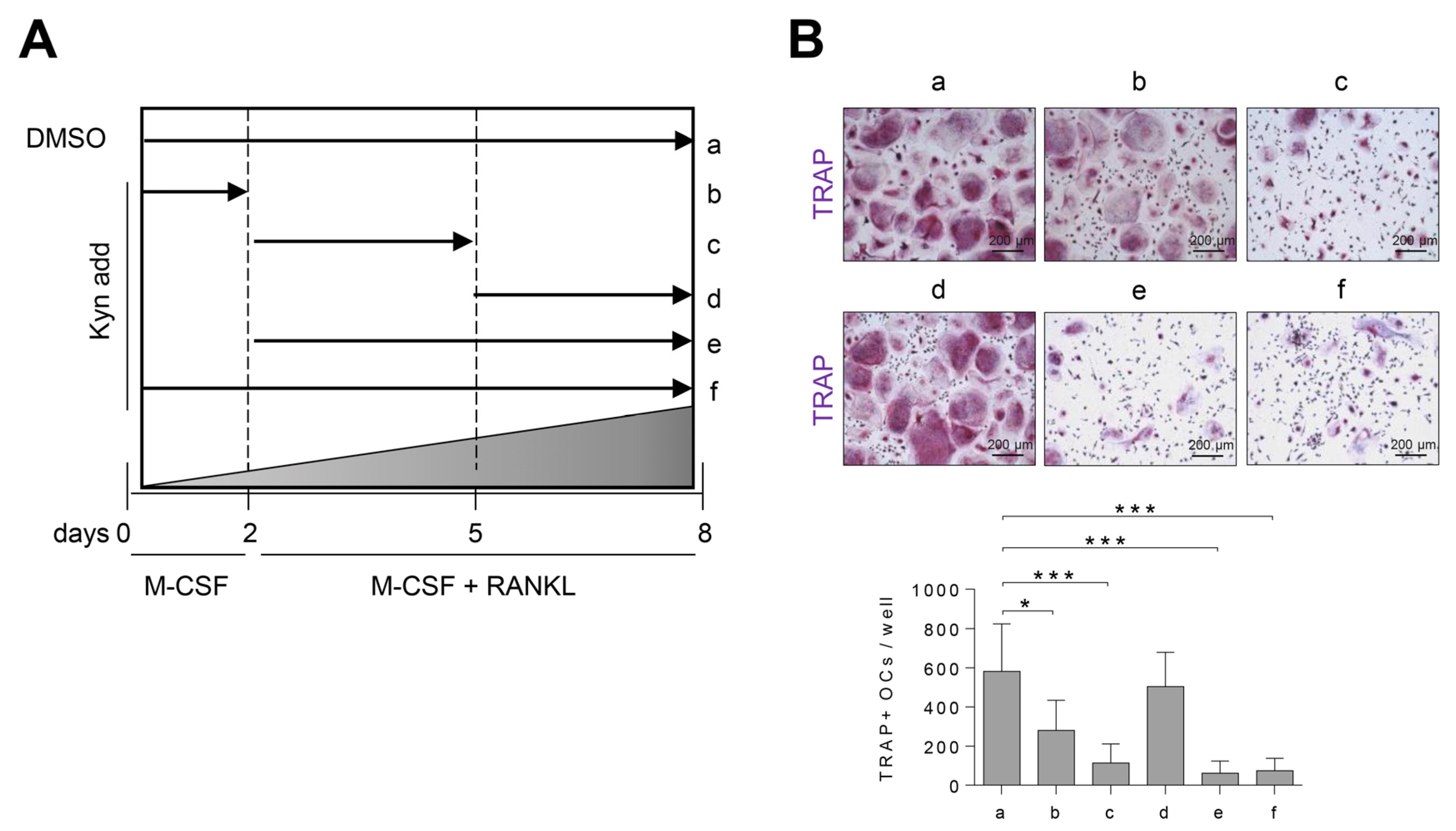 Cells 10 03498 g003 550
