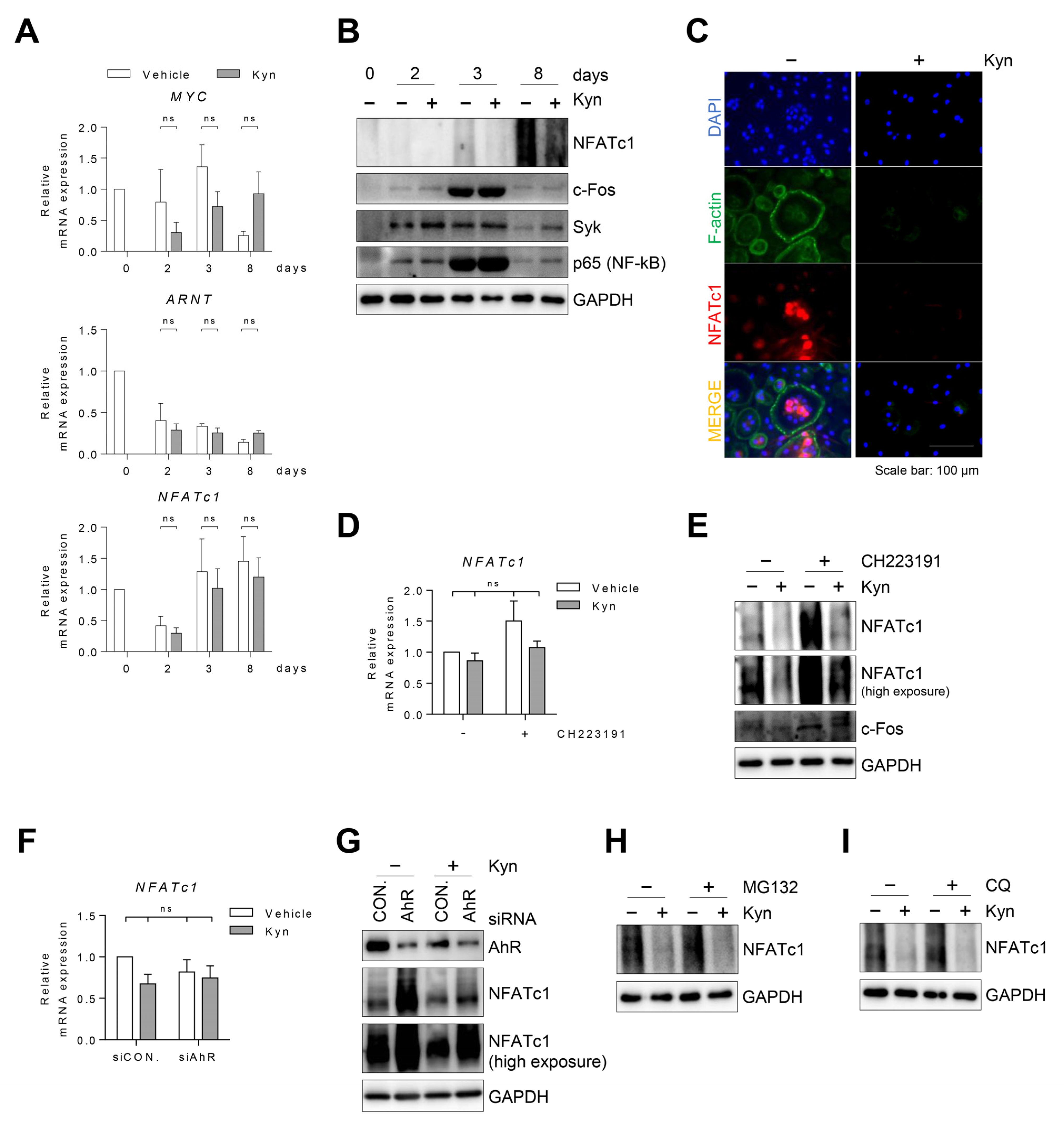 Cells 10 03498 g006 550