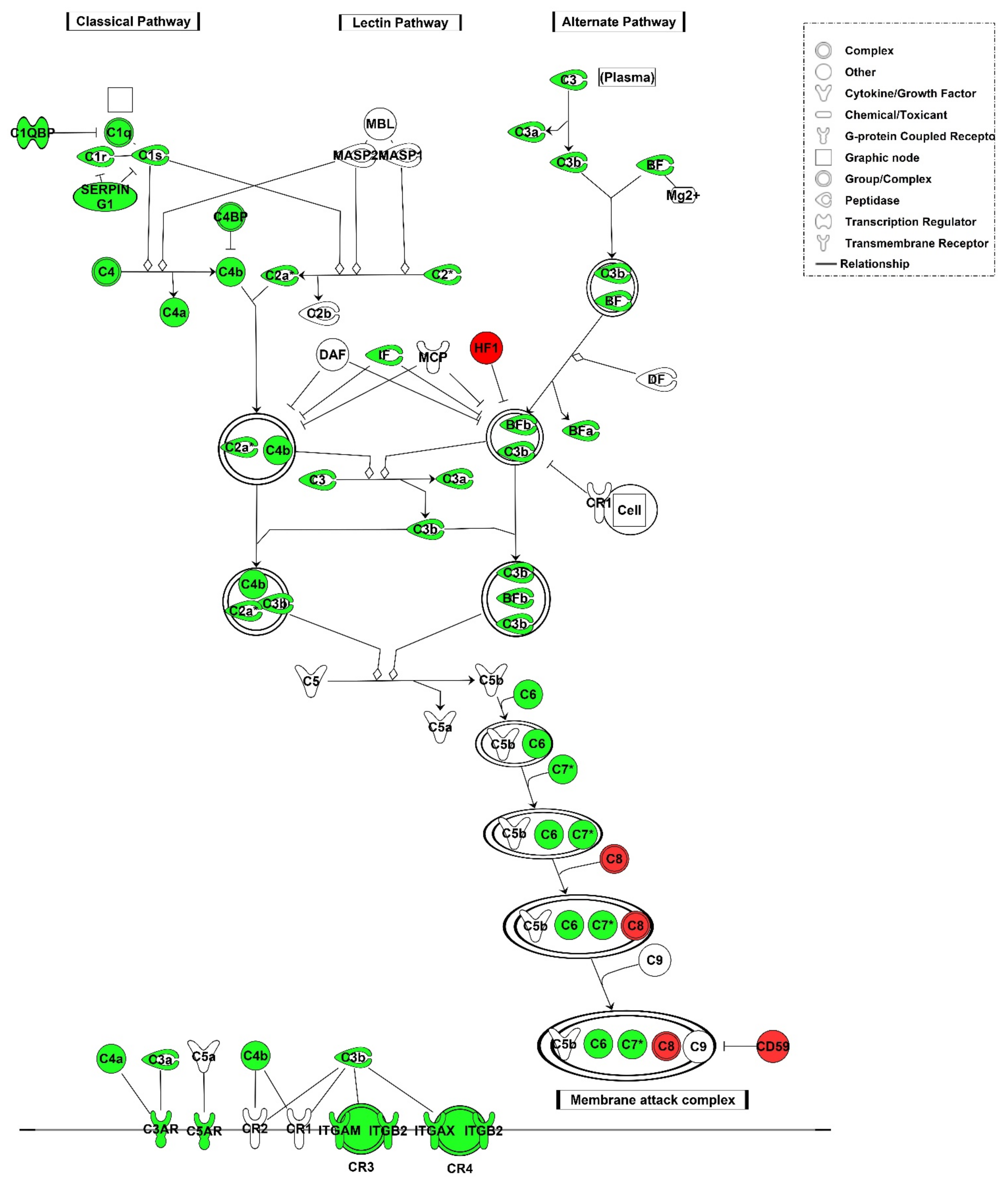 Cells 10 03499 g002 Cells 10 03499 g002