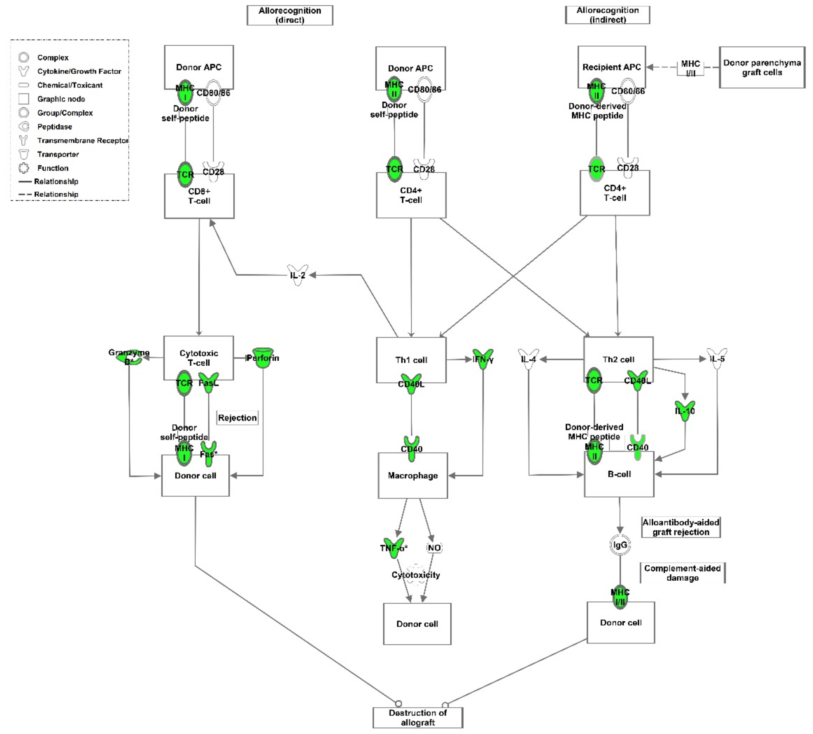 Cells 10 03499 g005 Cells 10 03499 g005