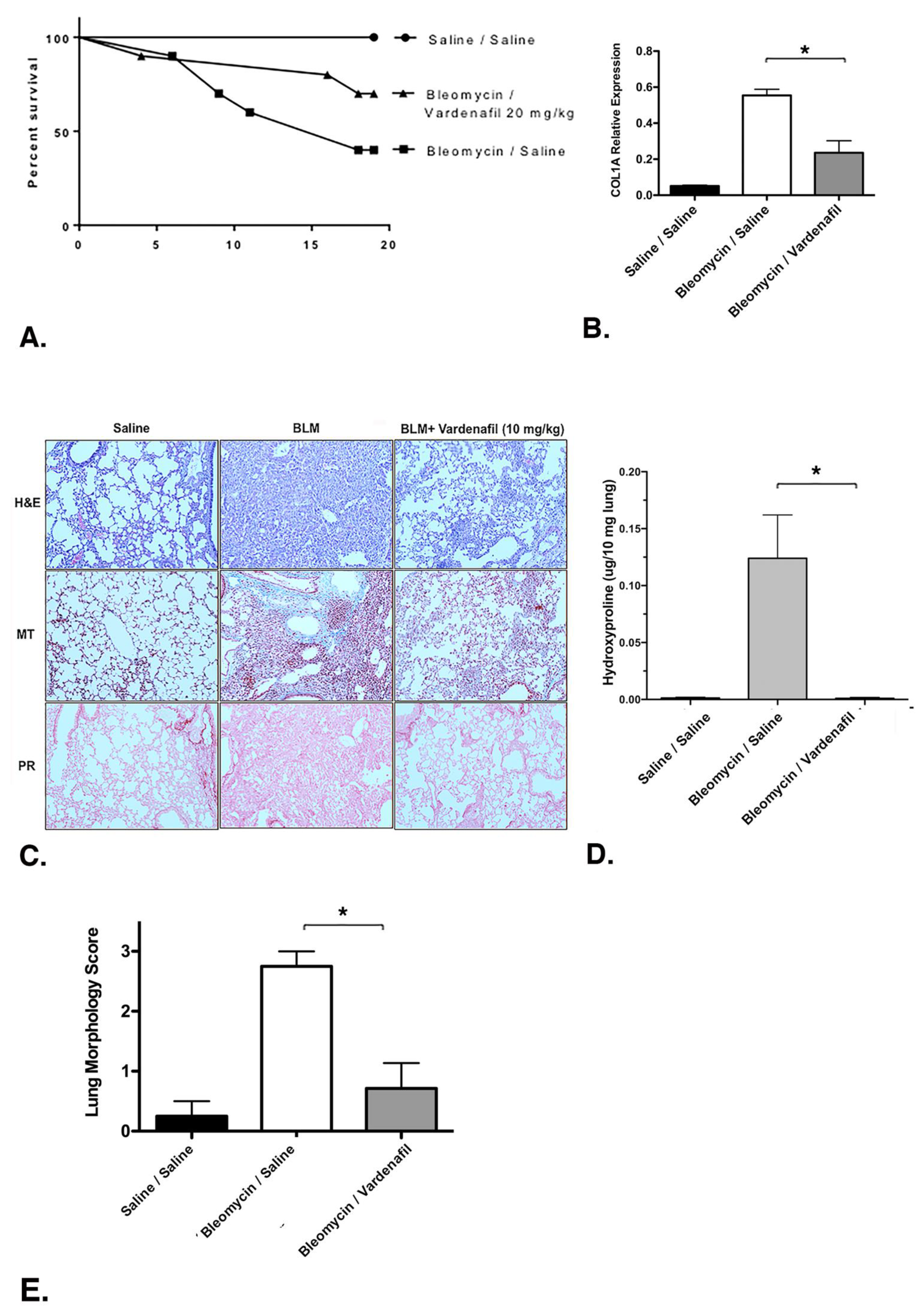 Cells 10 03502 g007 Cells 10 03502 g007