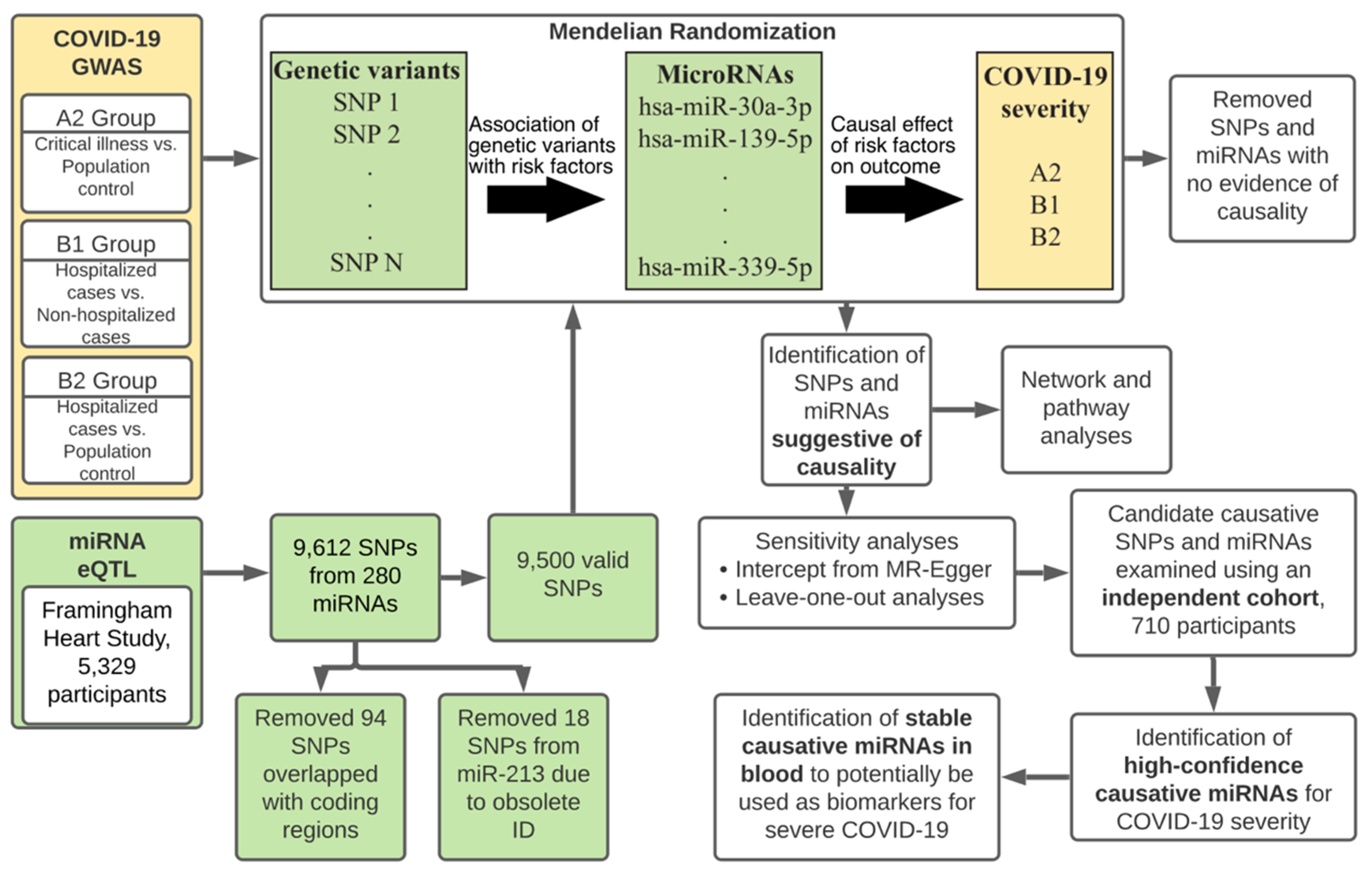 Cells 10 03504 g001 550