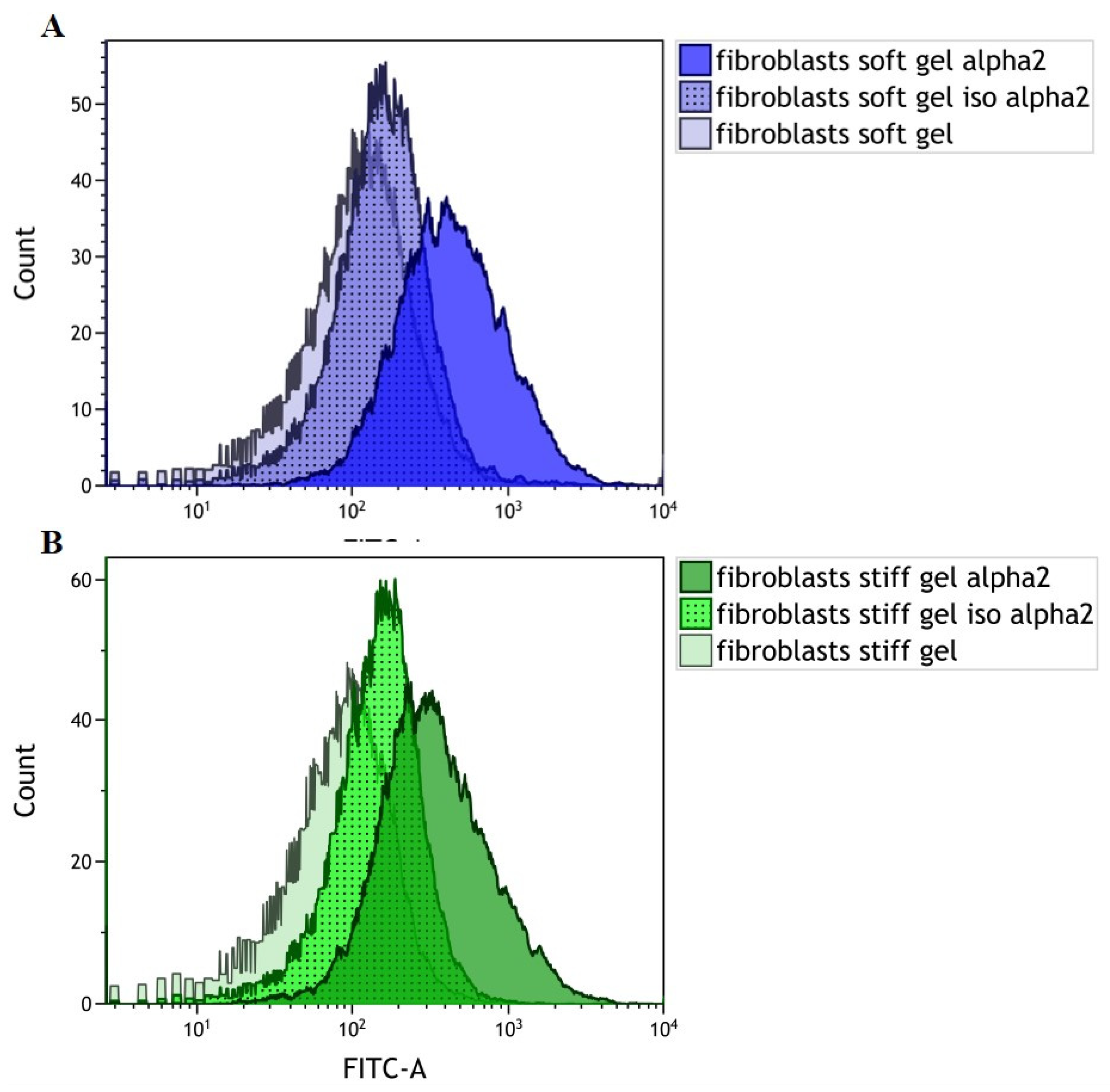 Cells 10 03506 g001 550