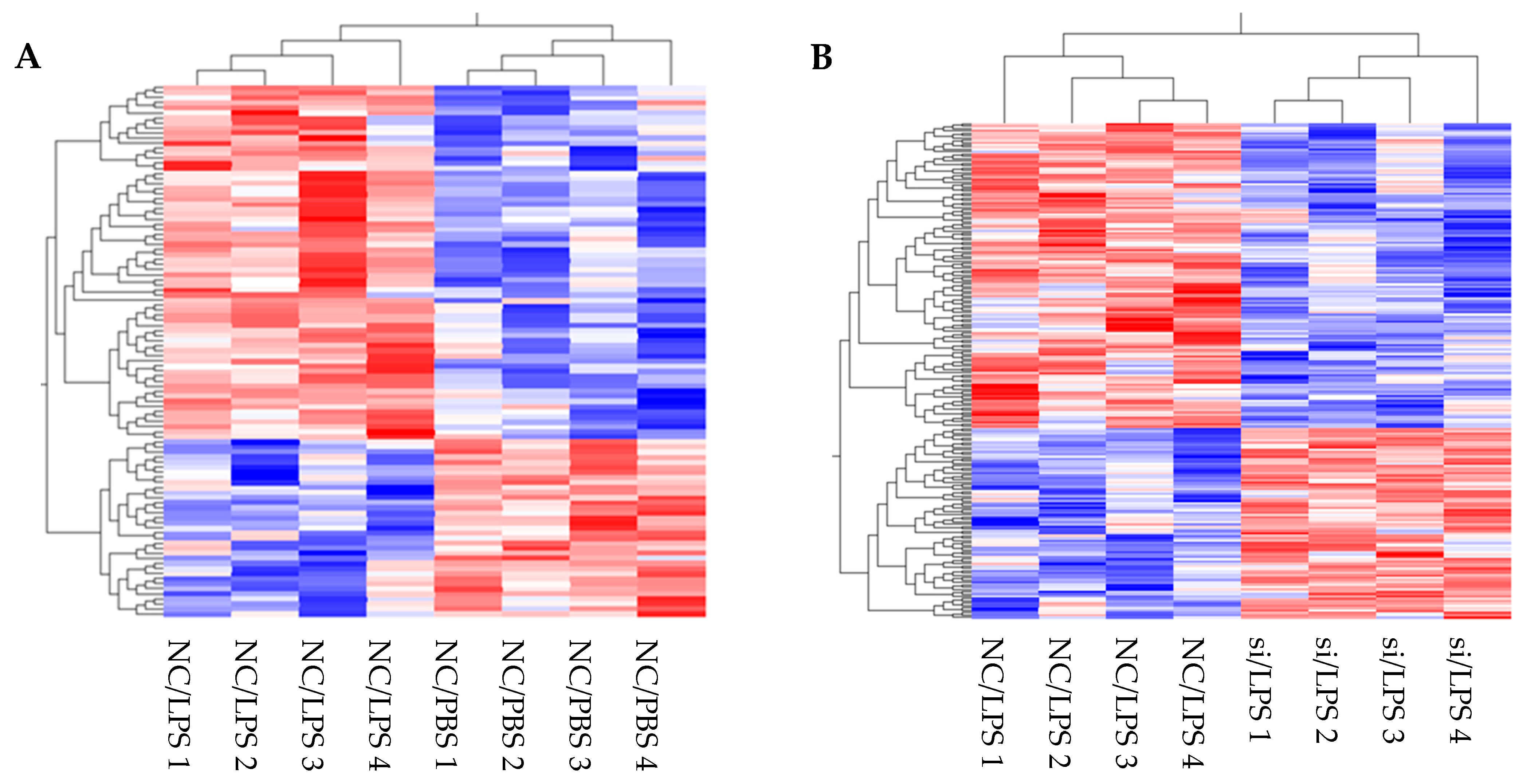 Cells 10 03508 g004 Cells 10 03508 g004