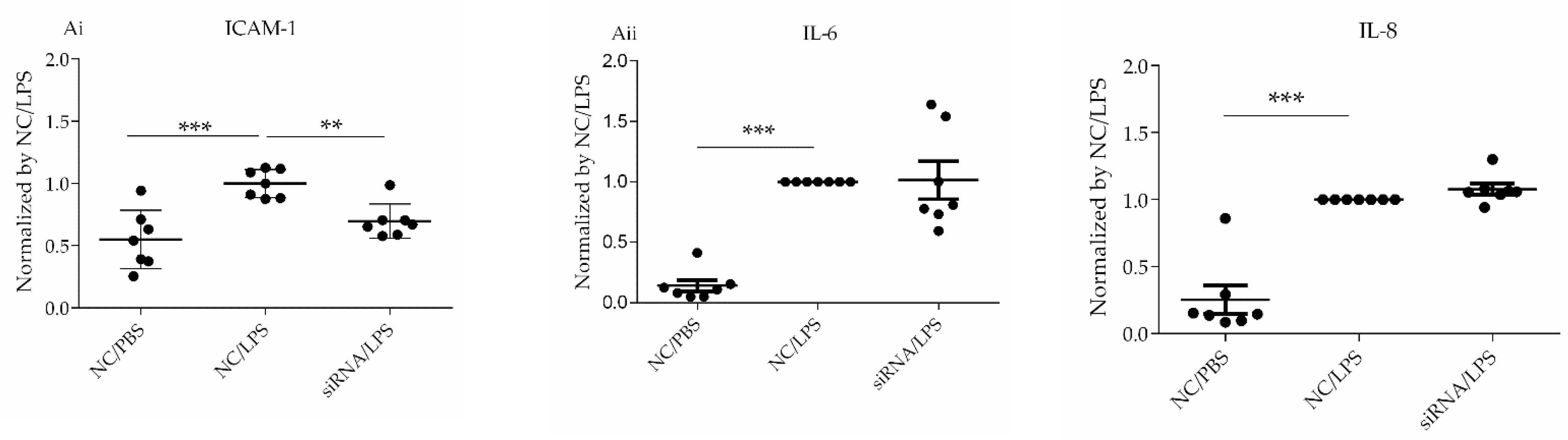 Cells 10 03508 g005a Cells 10 03508 g005a