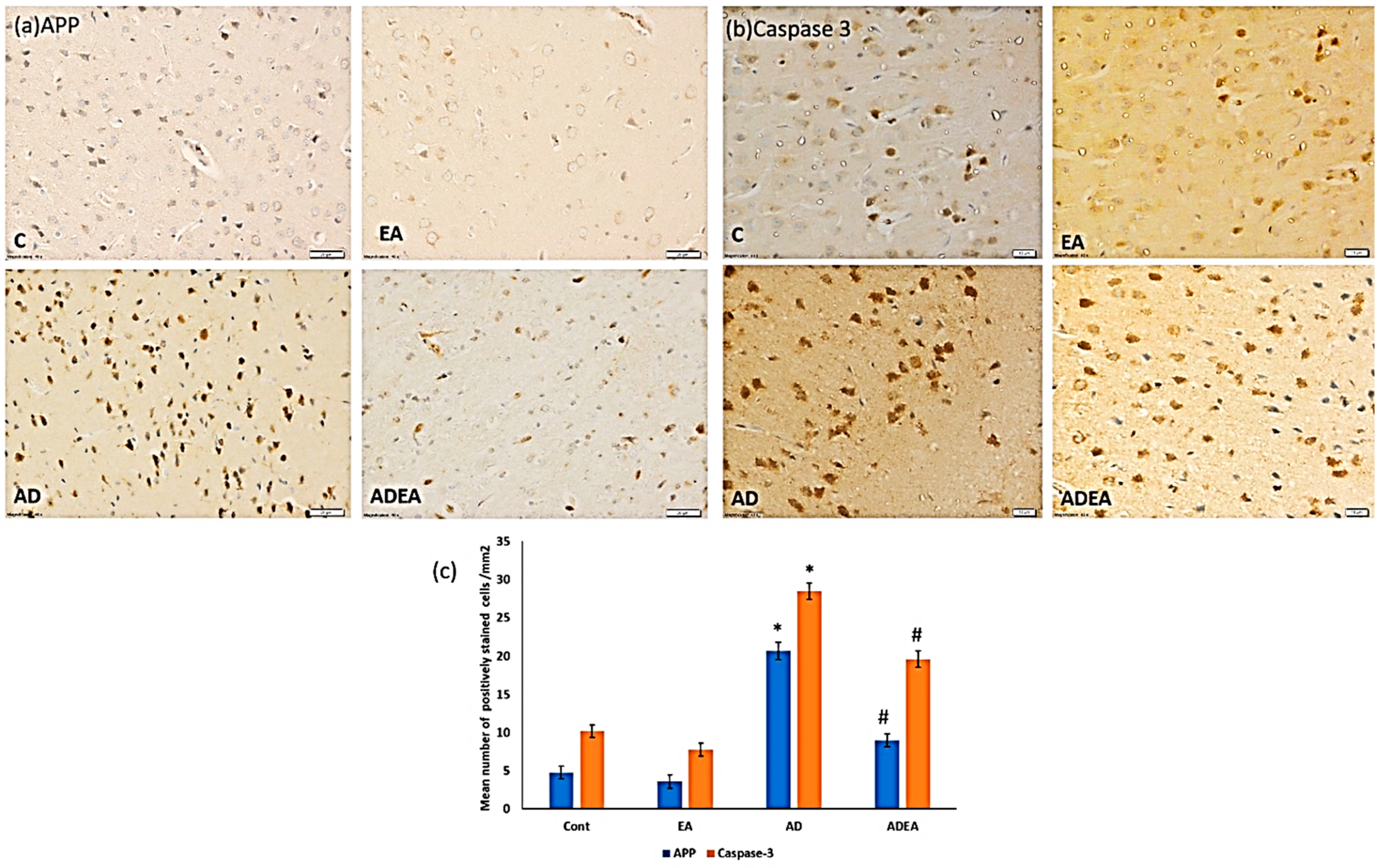 Cells 10 03511 g006 Cells 10 03511 g006