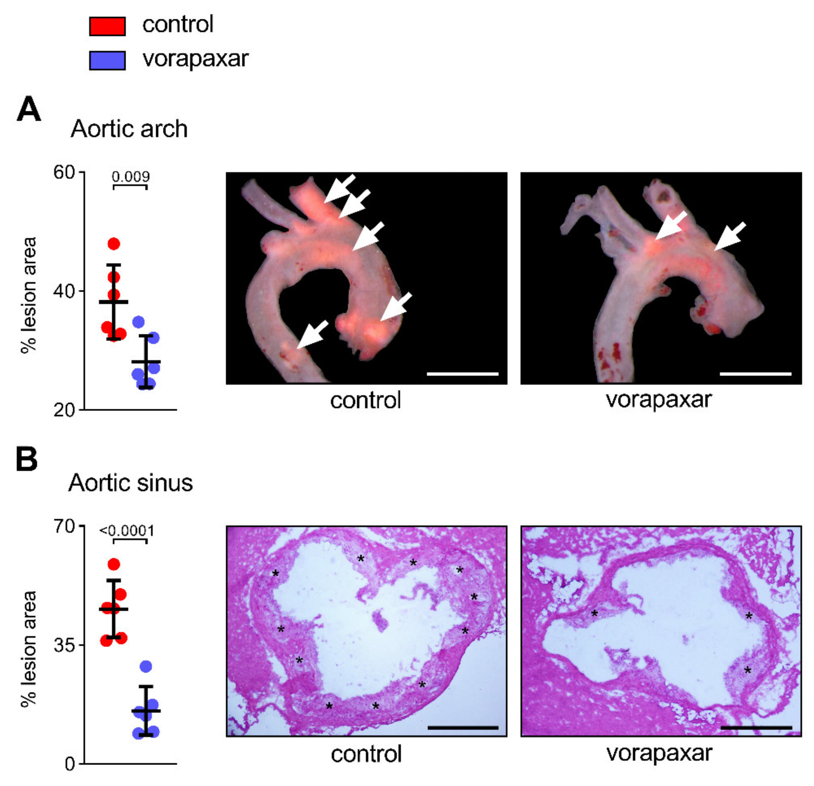 Cells 10 03517 g004 550