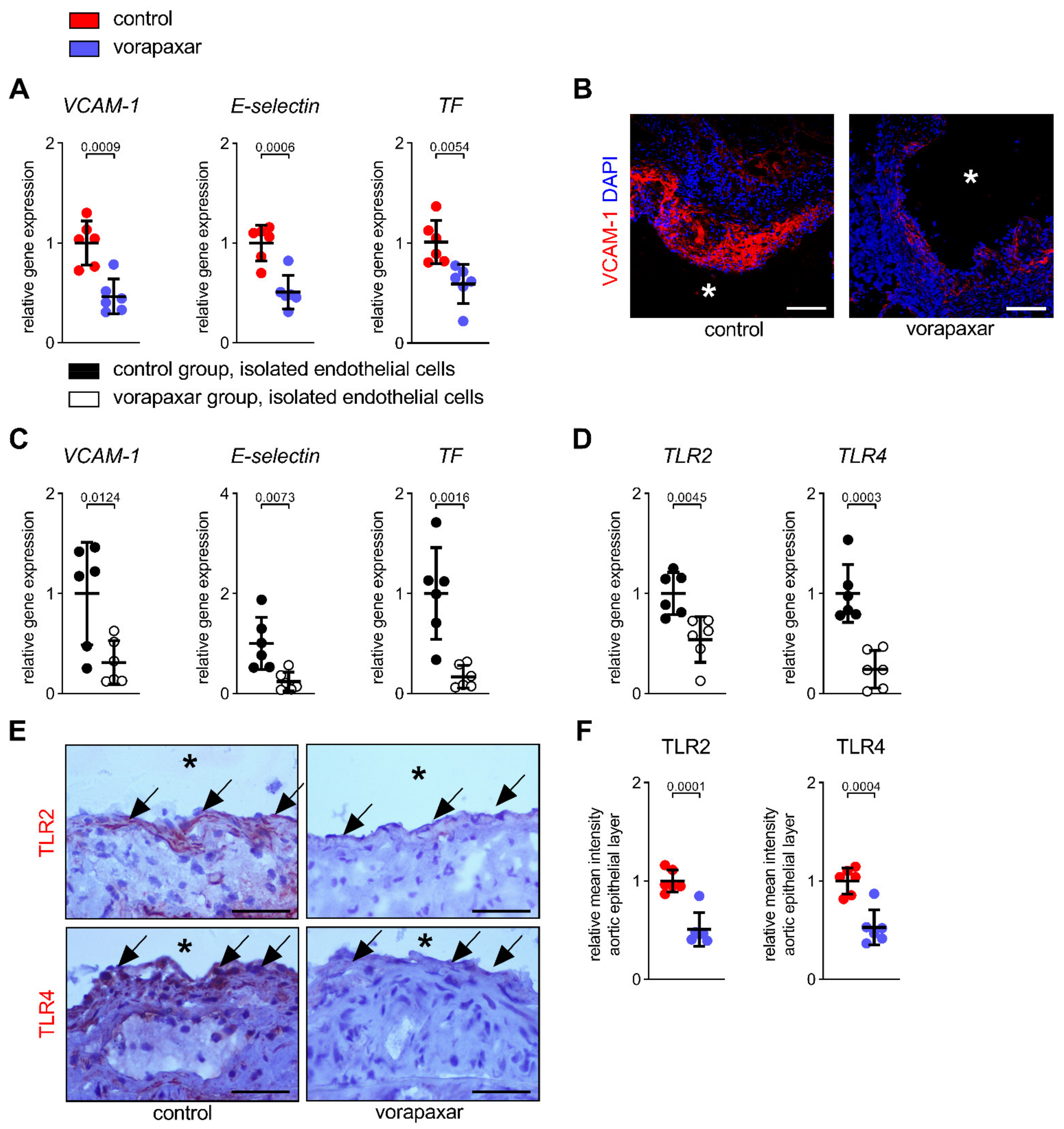 Cells 10 03517 g005 550
