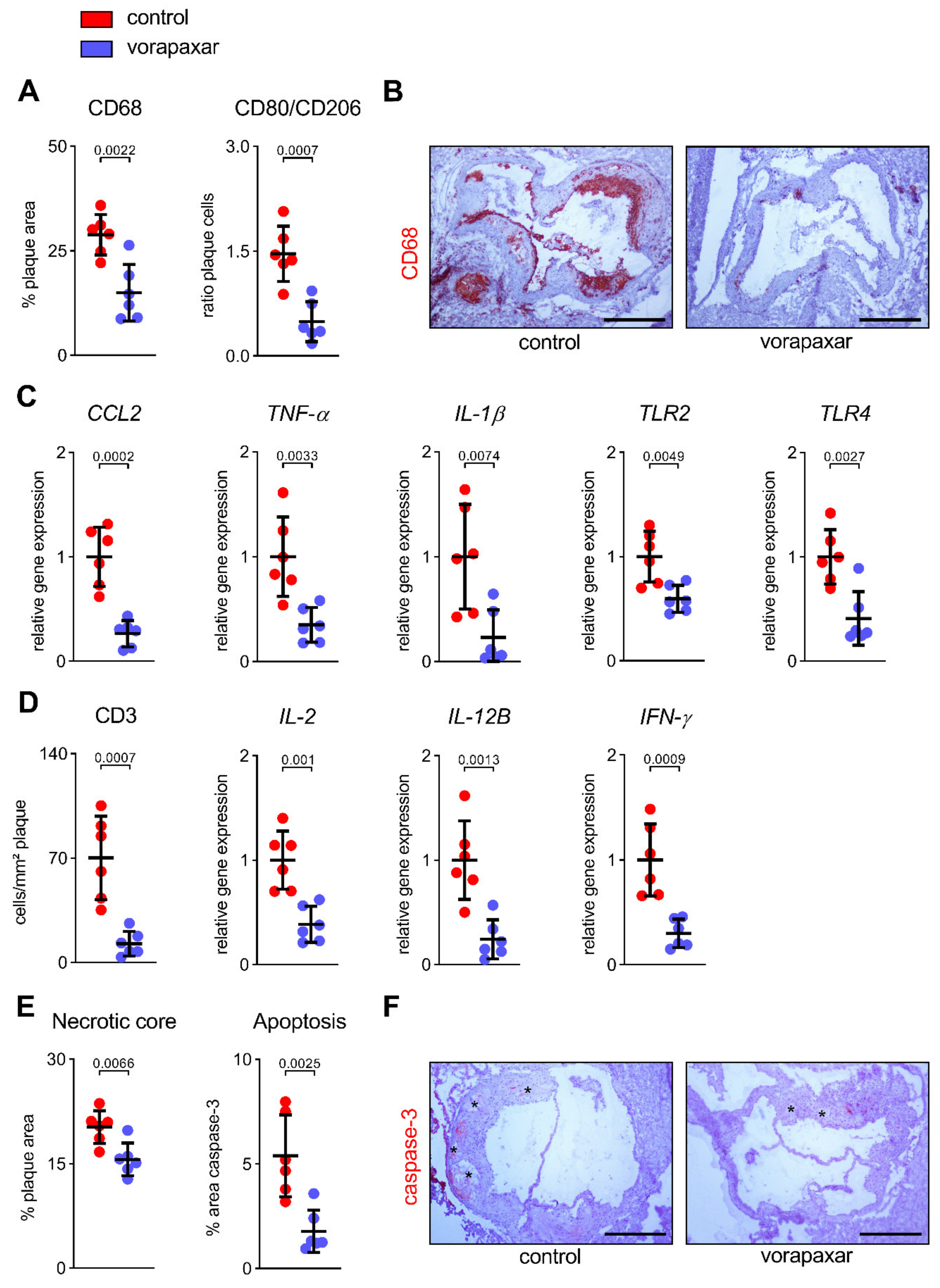 Cells 10 03517 g006 550