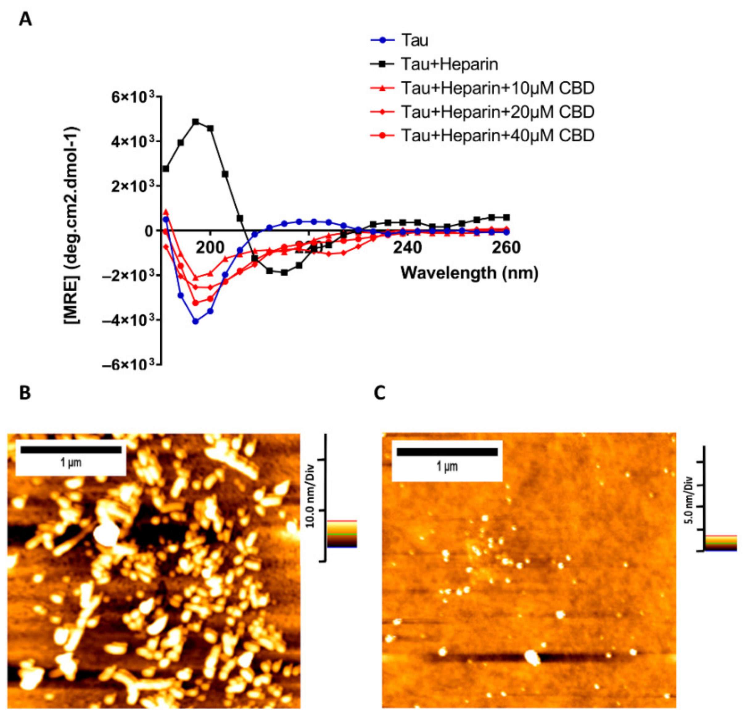 Cells 10 03521 g003 550