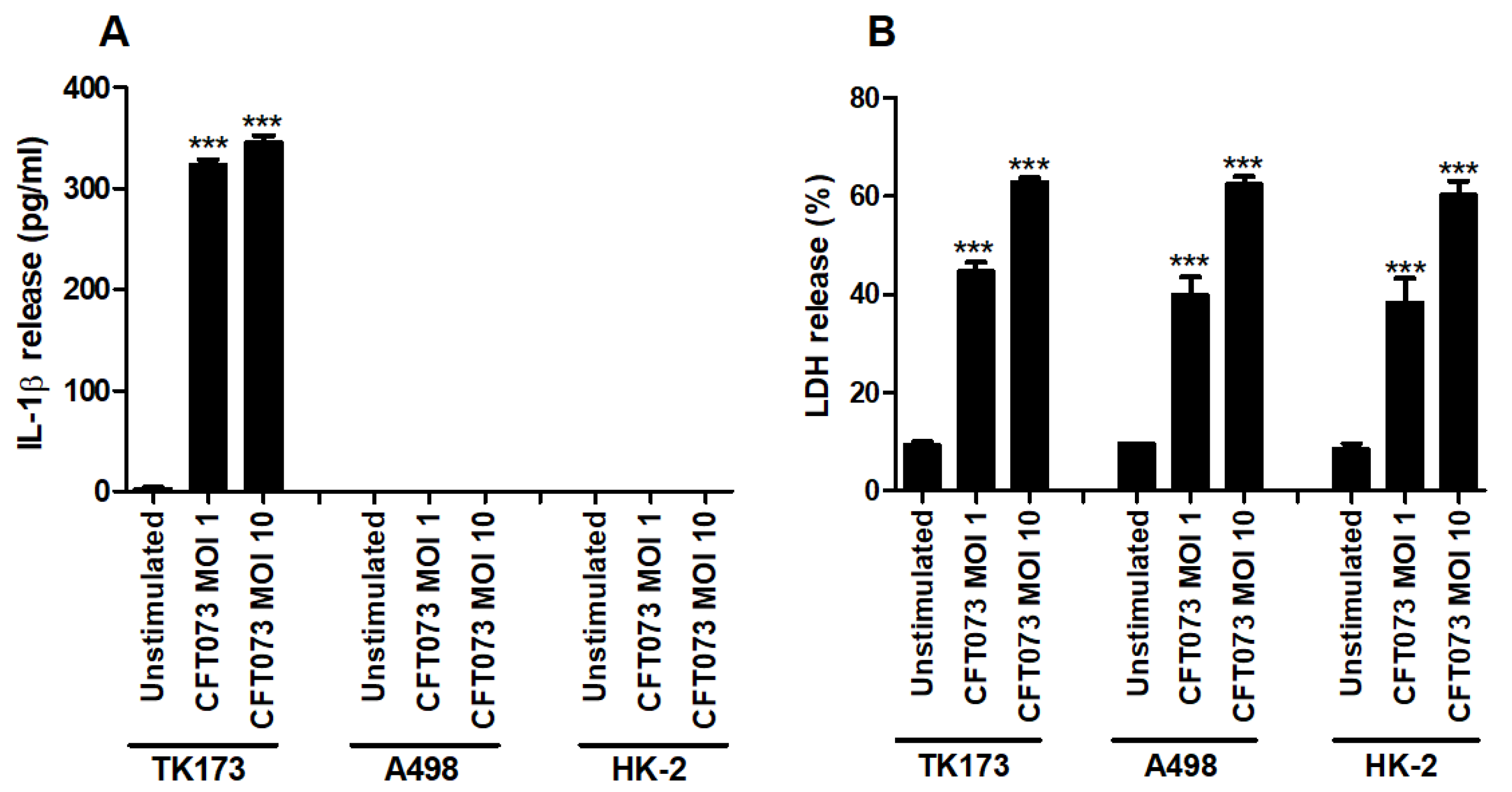 Cells 10 03522 g001 Cells 10 03522 g001