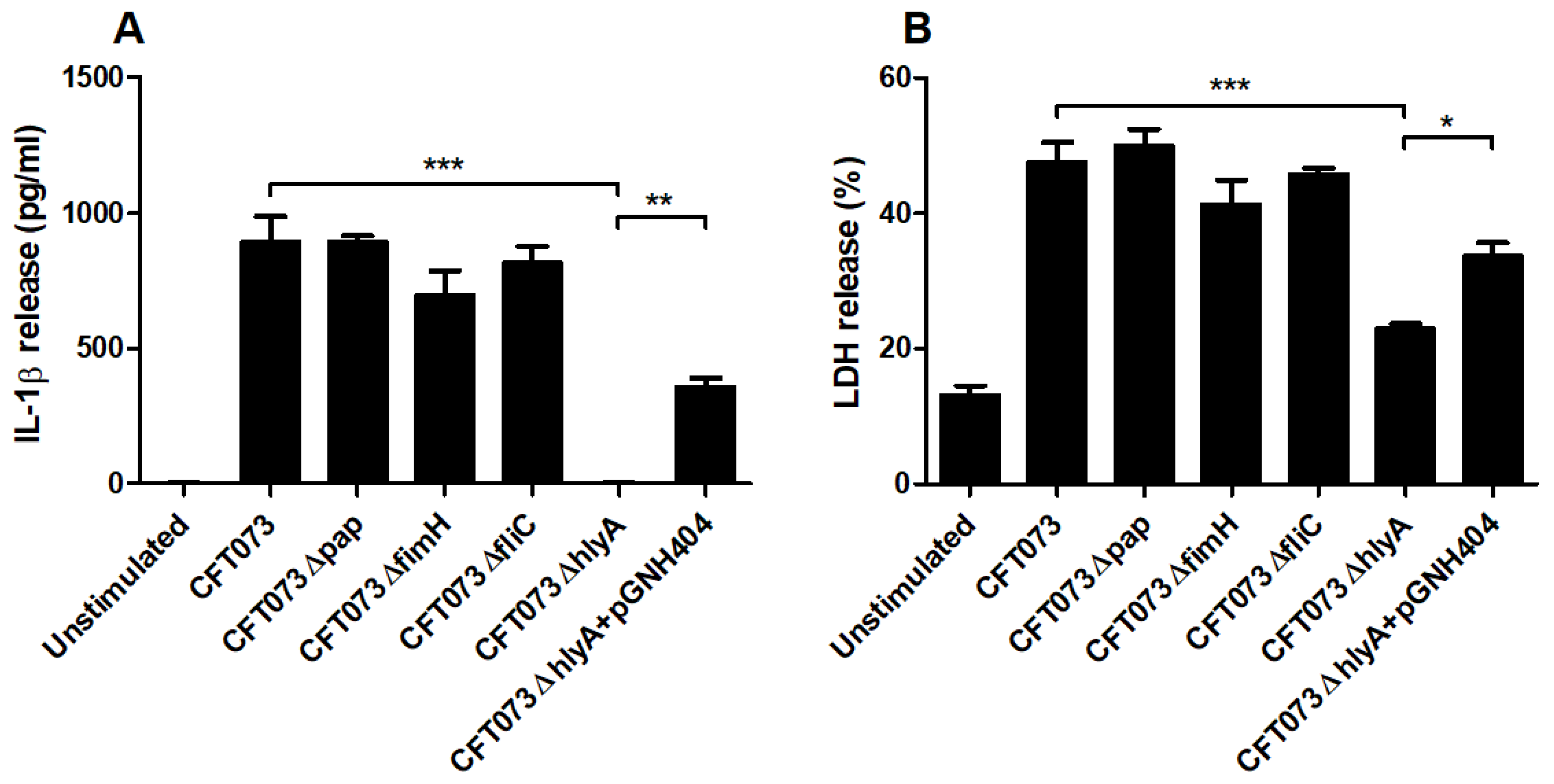 Cells 10 03522 g005 Cells 10 03522 g005