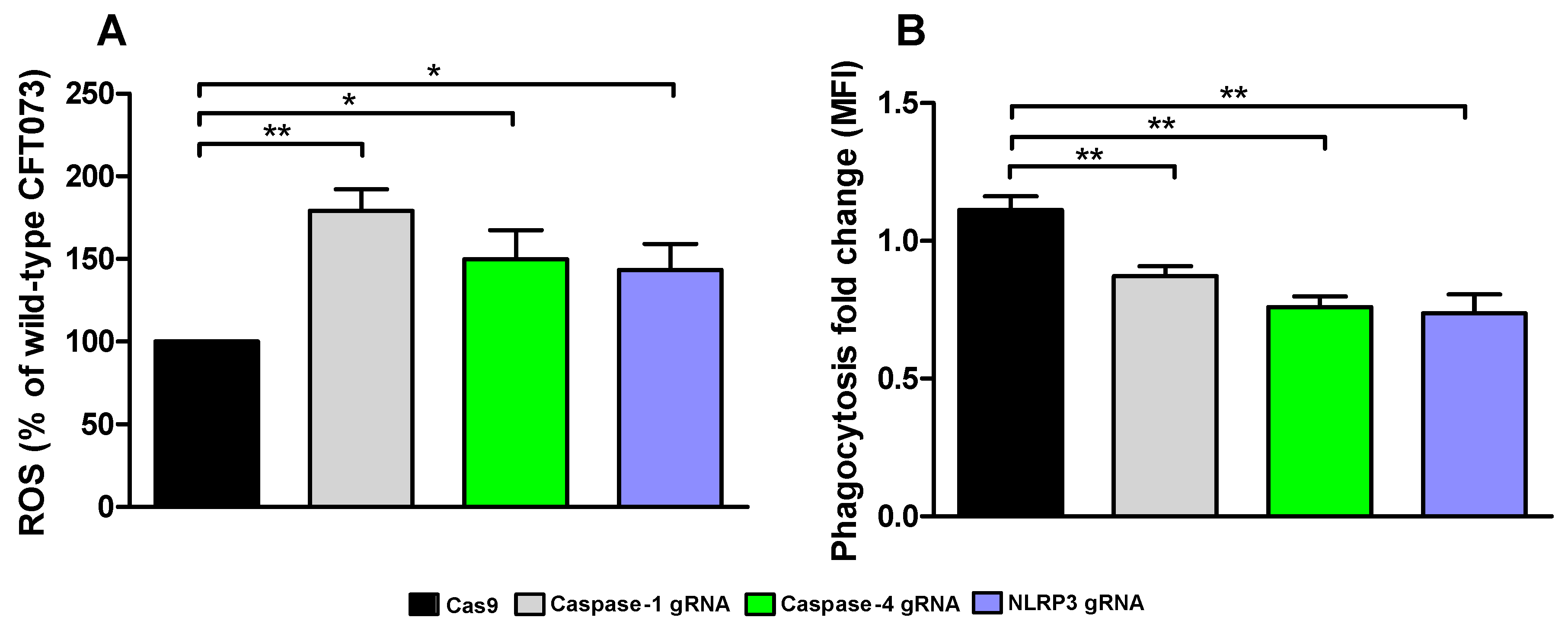 Cells 10 03522 g007 Cells 10 03522 g007
