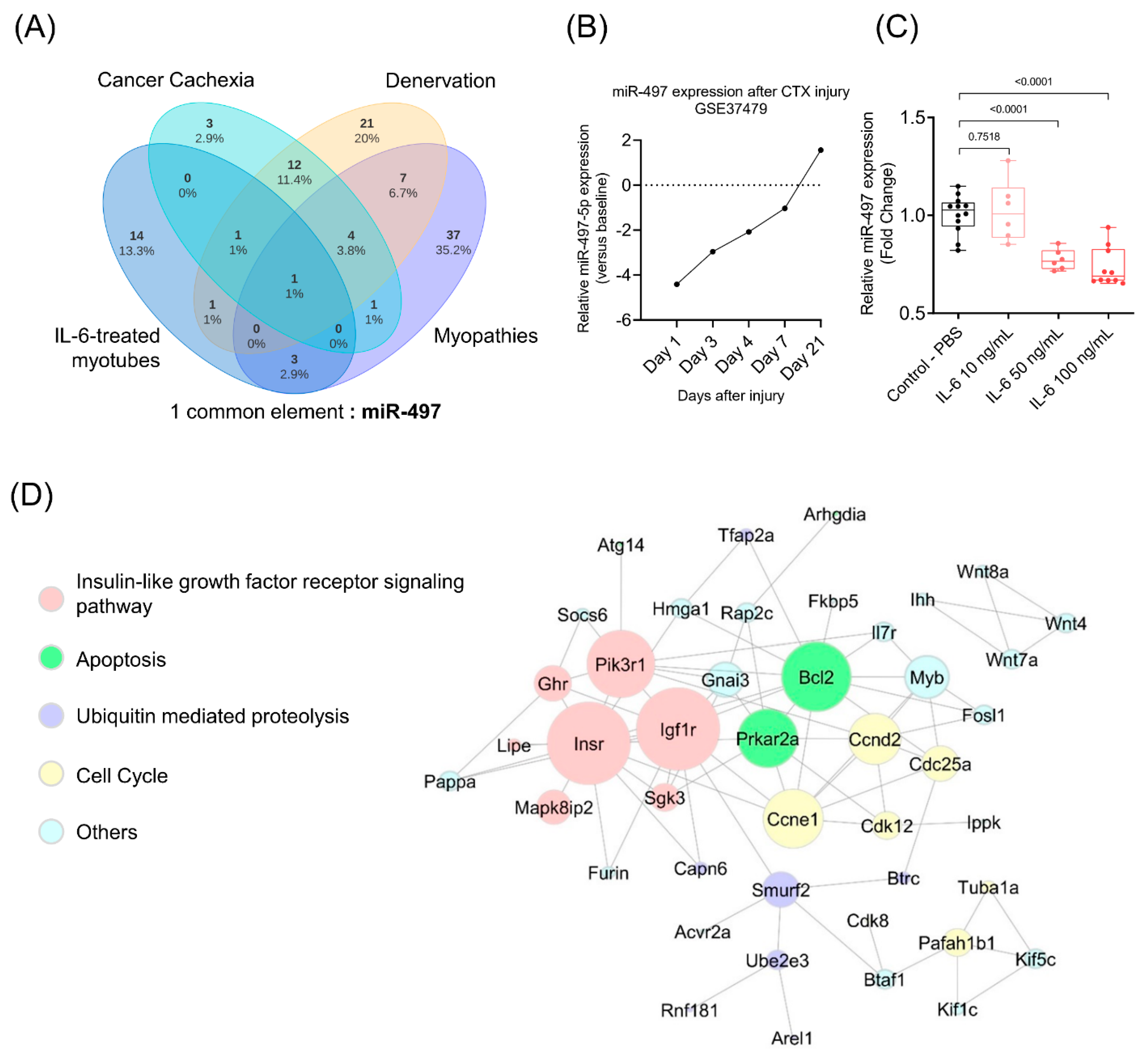 Cells 10 03527 g003 Cells 10 03527 g003