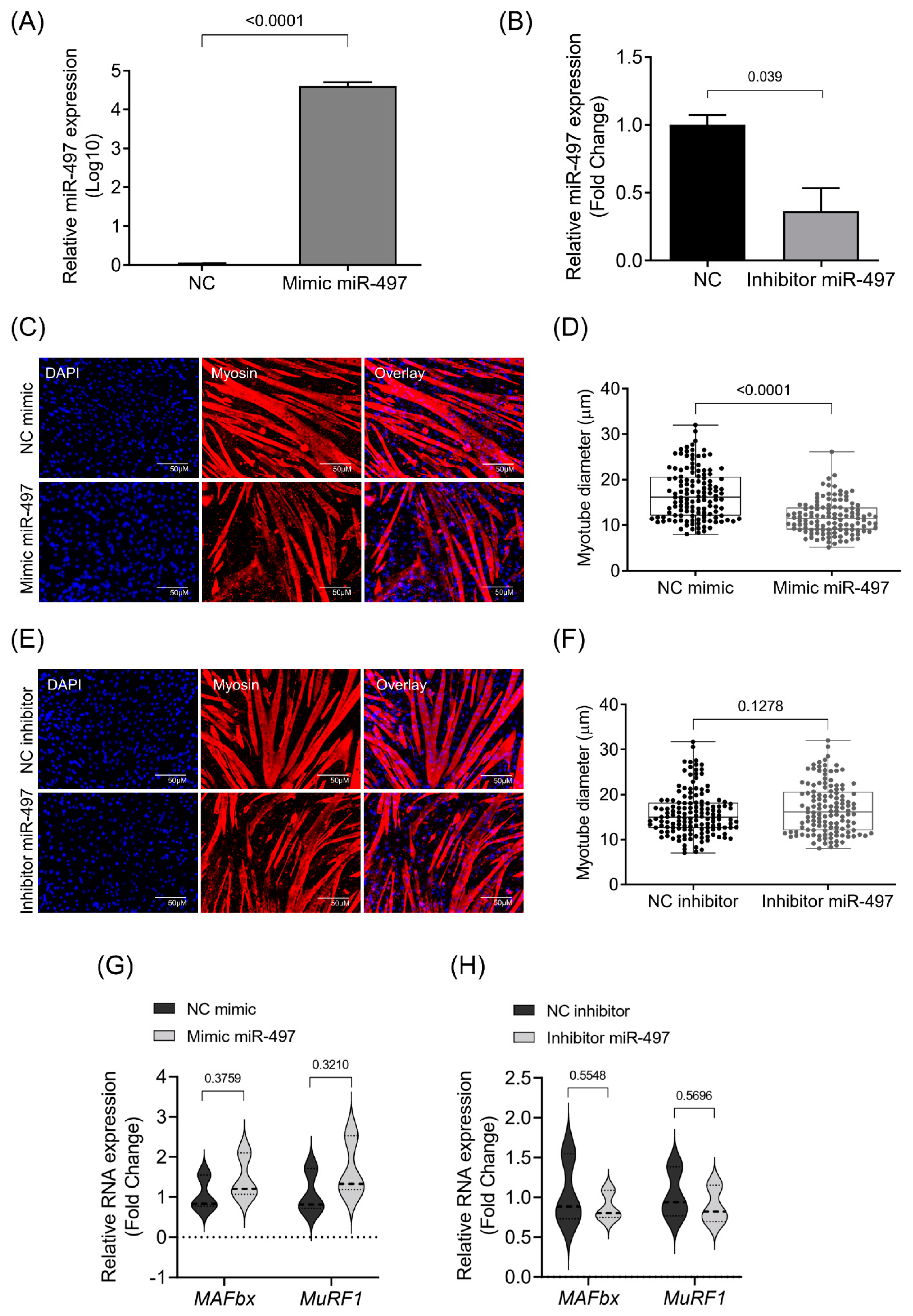 Cells 10 03527 g004 Cells 10 03527 g004