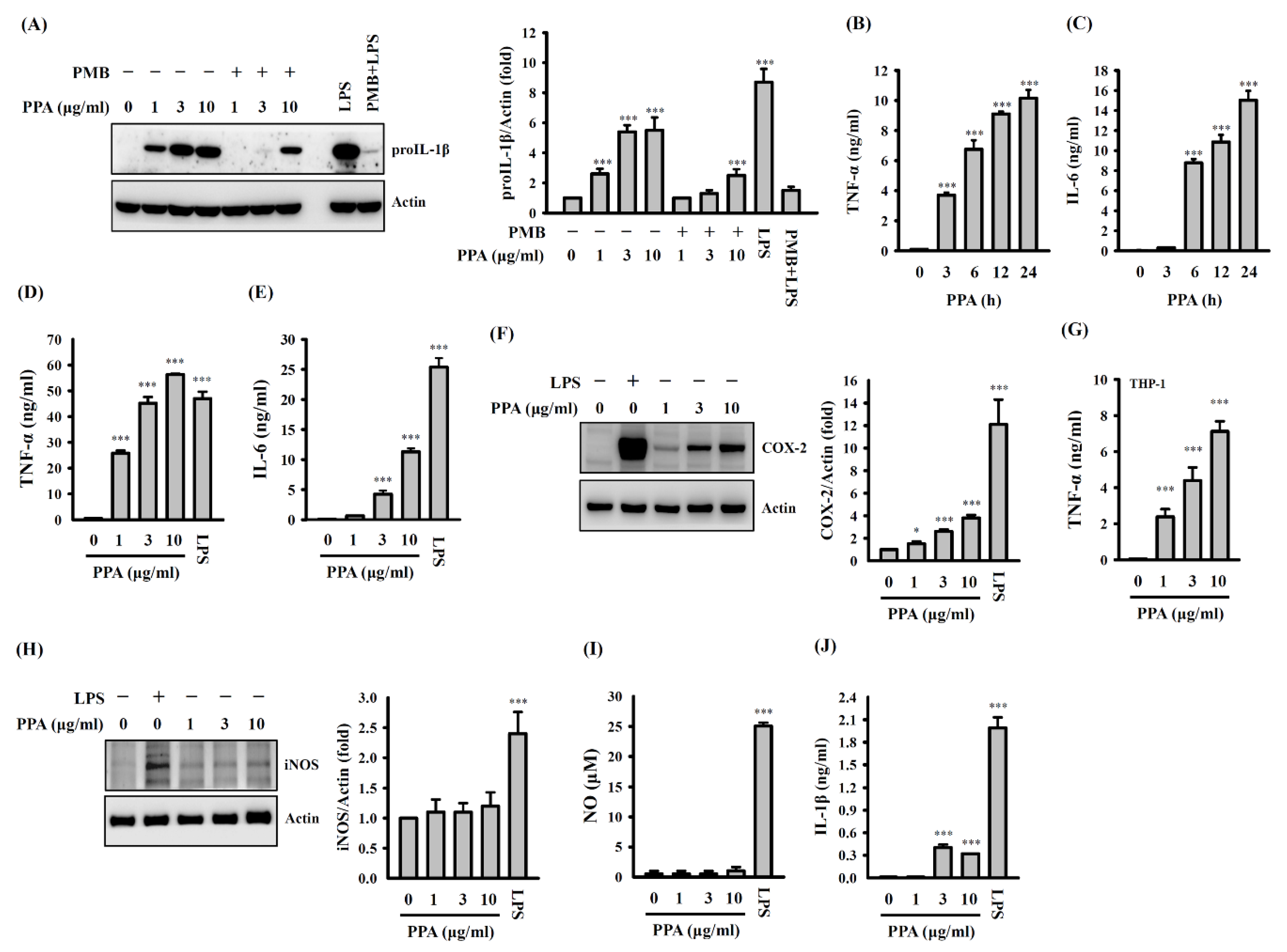 Cells 10 03531 g002 550