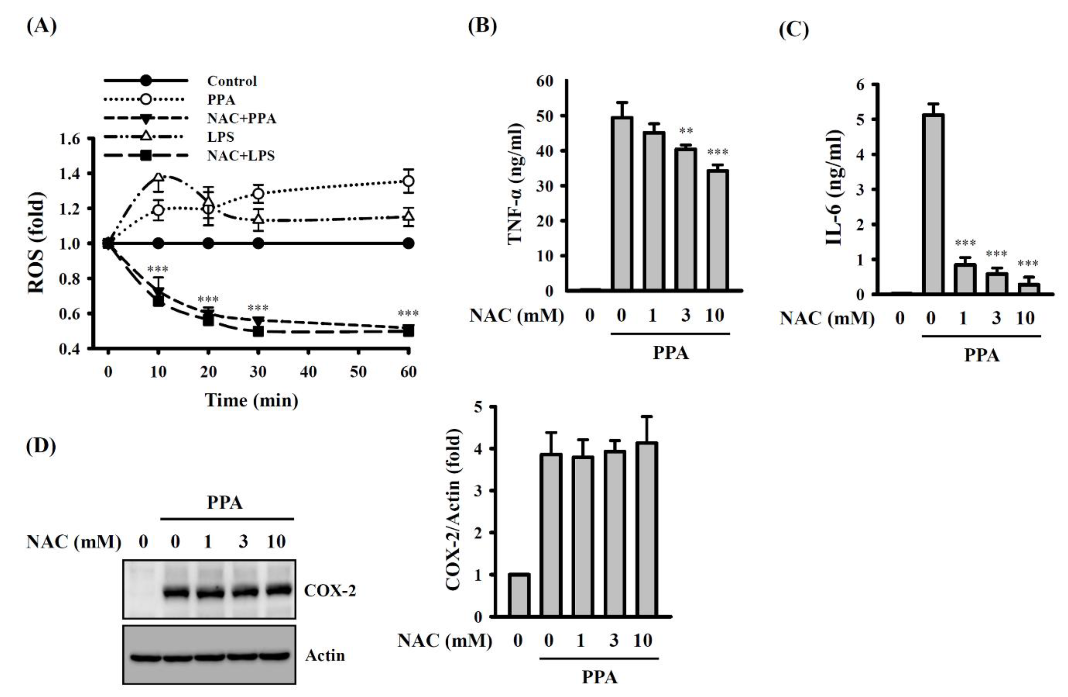 Cells 10 03531 g004 550