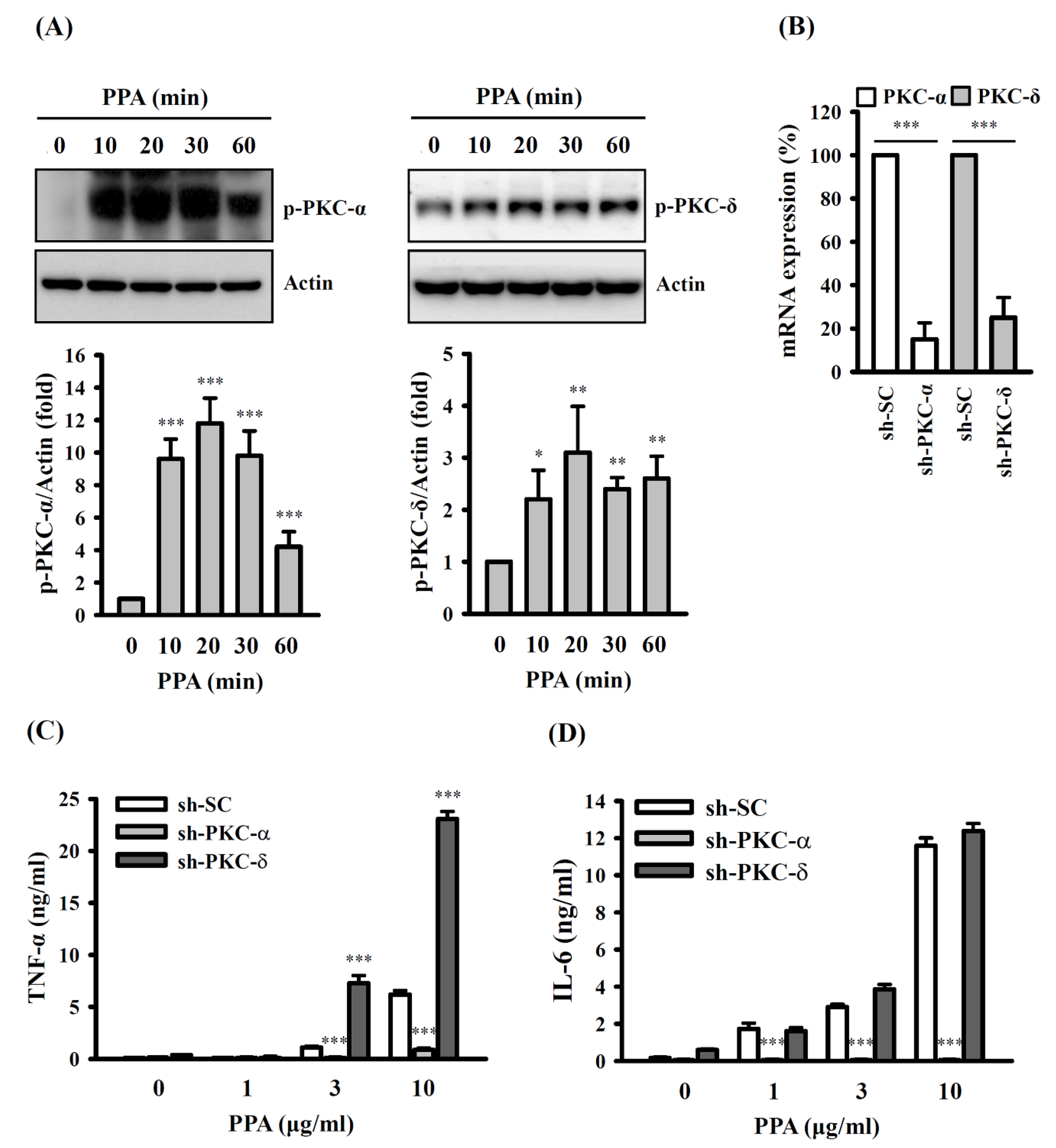 Cells 10 03531 g005 550