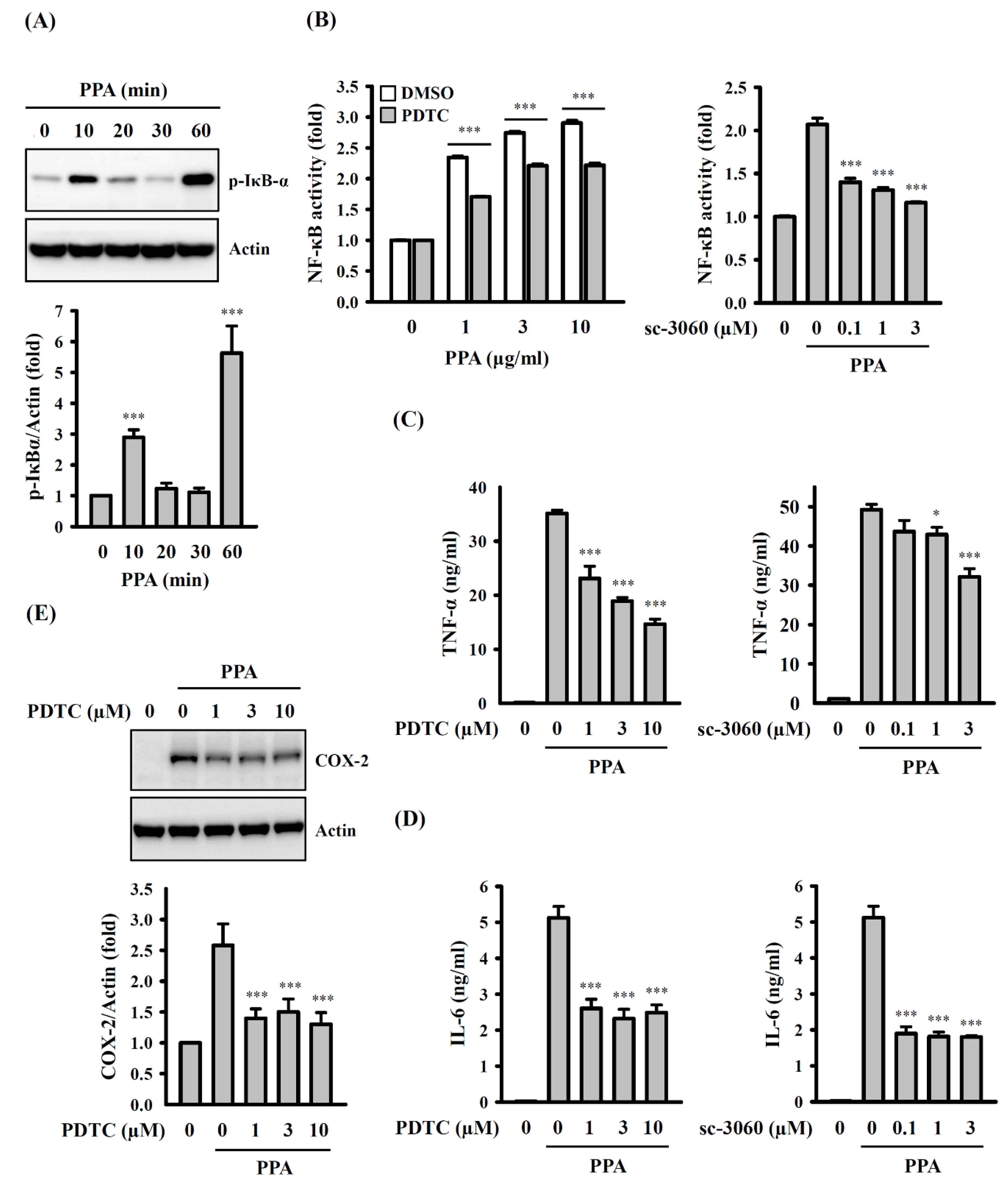 Cells 10 03531 g007 550