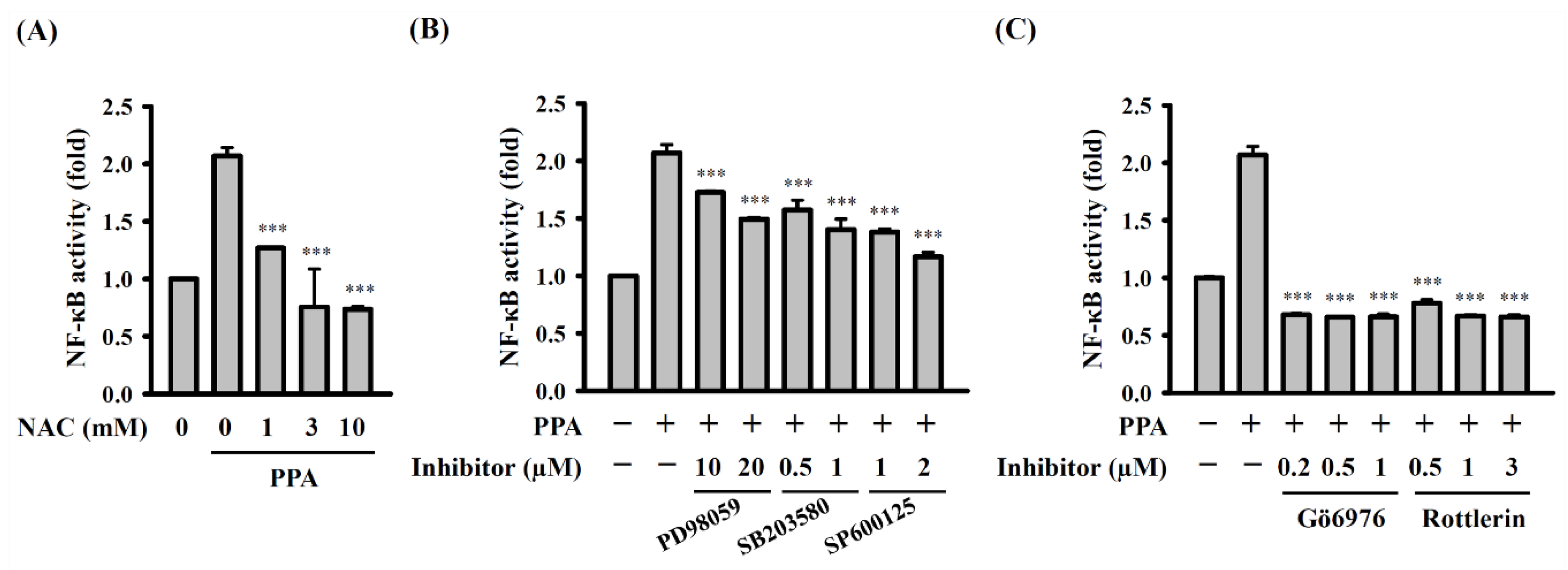 Cells 10 03531 g008 550