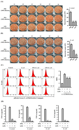 Immunomodulatory Properties of Polysaccharides from the Coral ...