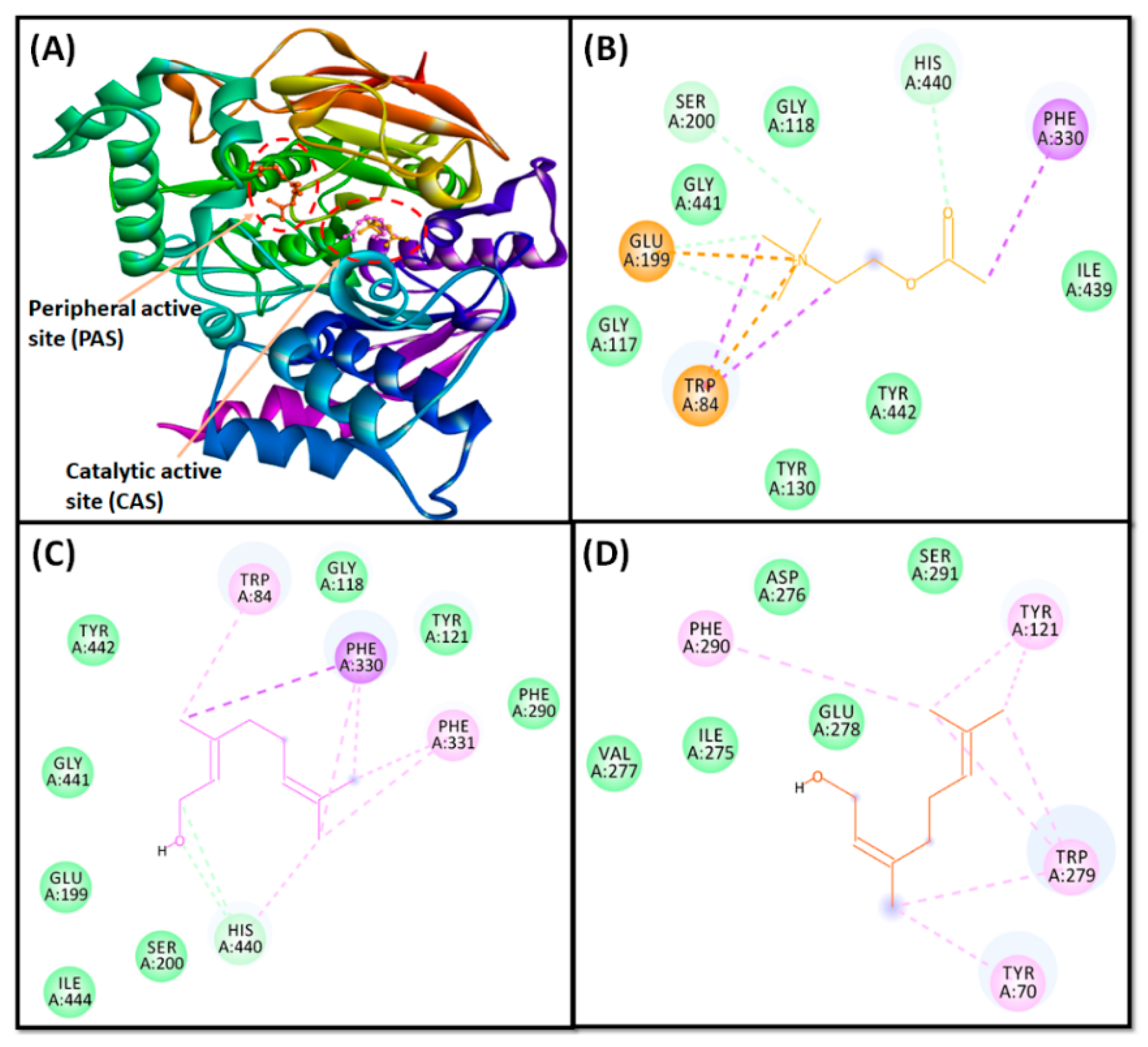 Cells 10 03533 g005 550