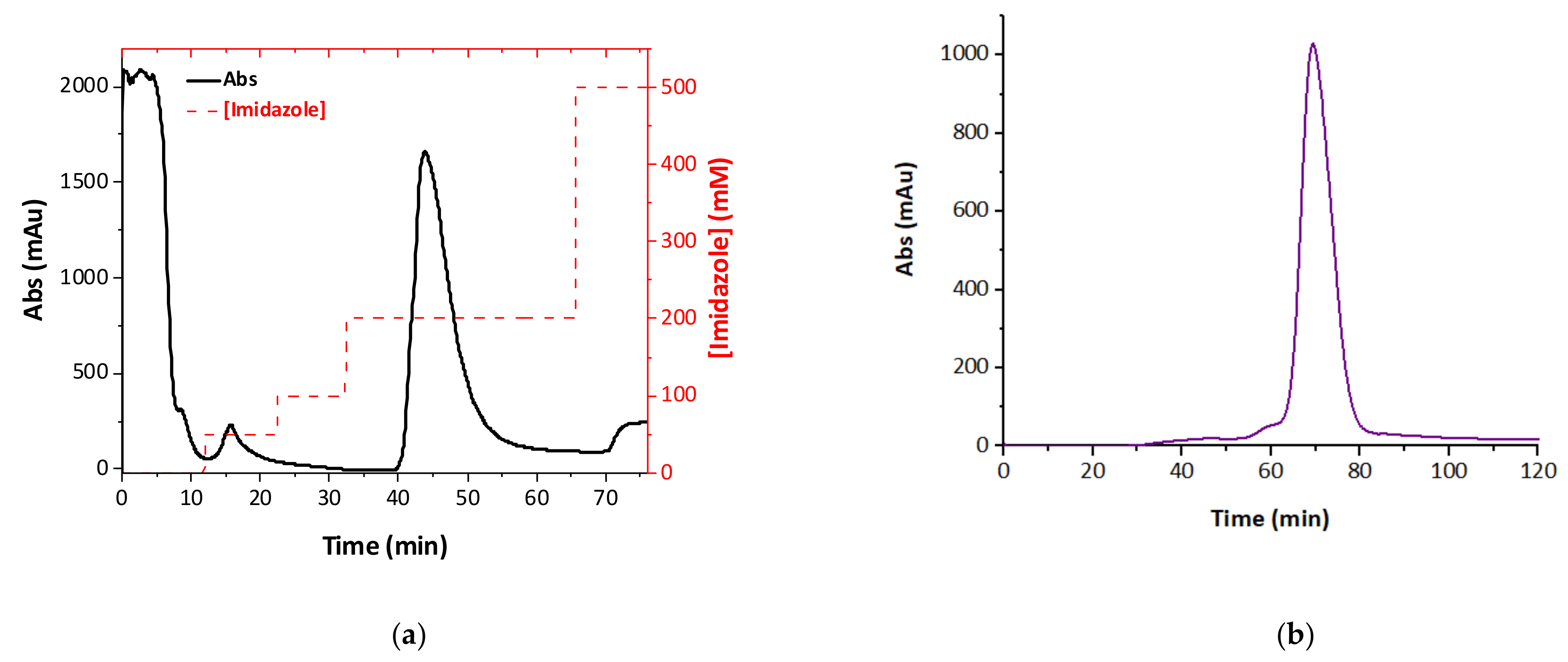 Cells 10 03535 g002 Cells 10 03535 g002