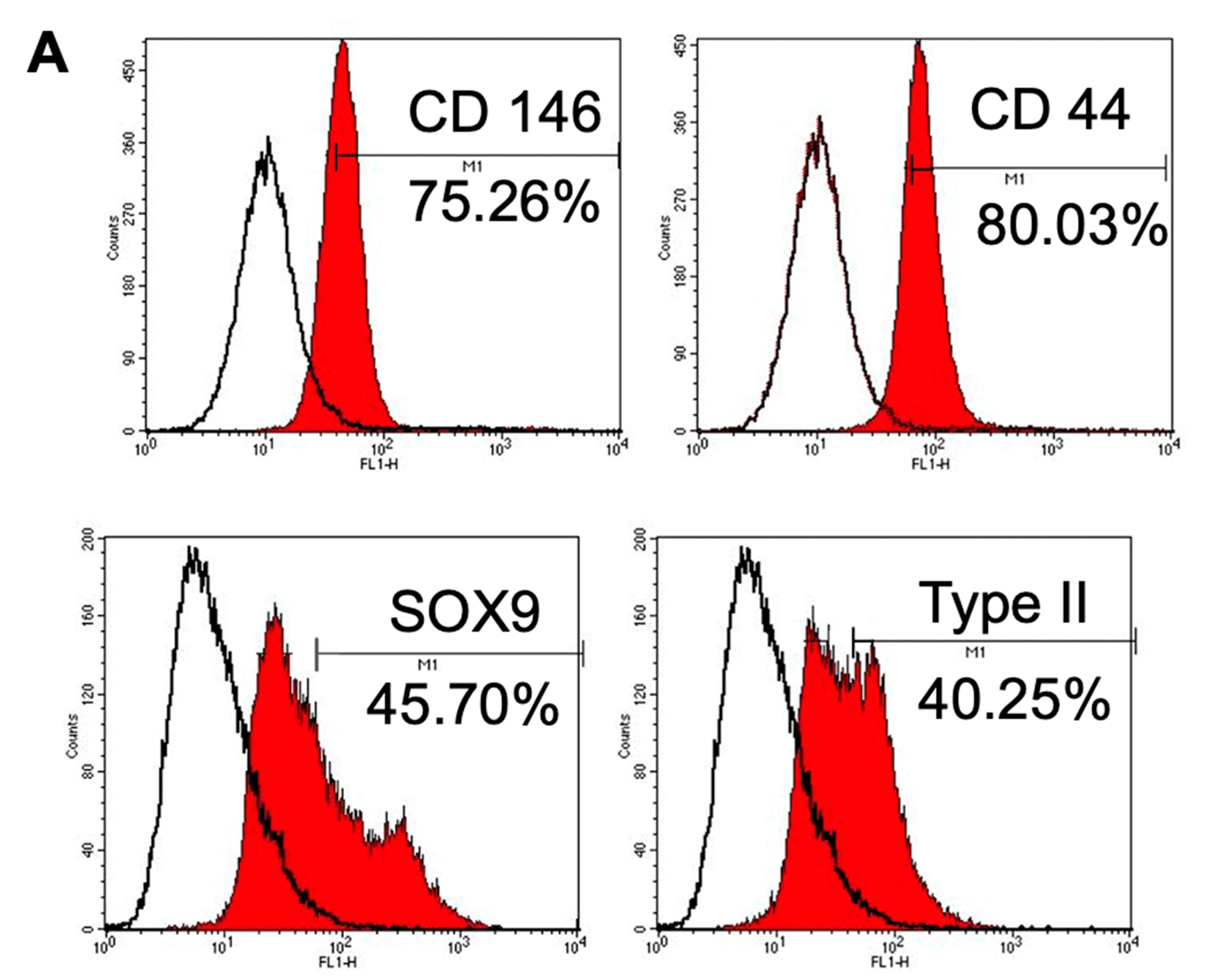 Cells 10 03536 g002a 550