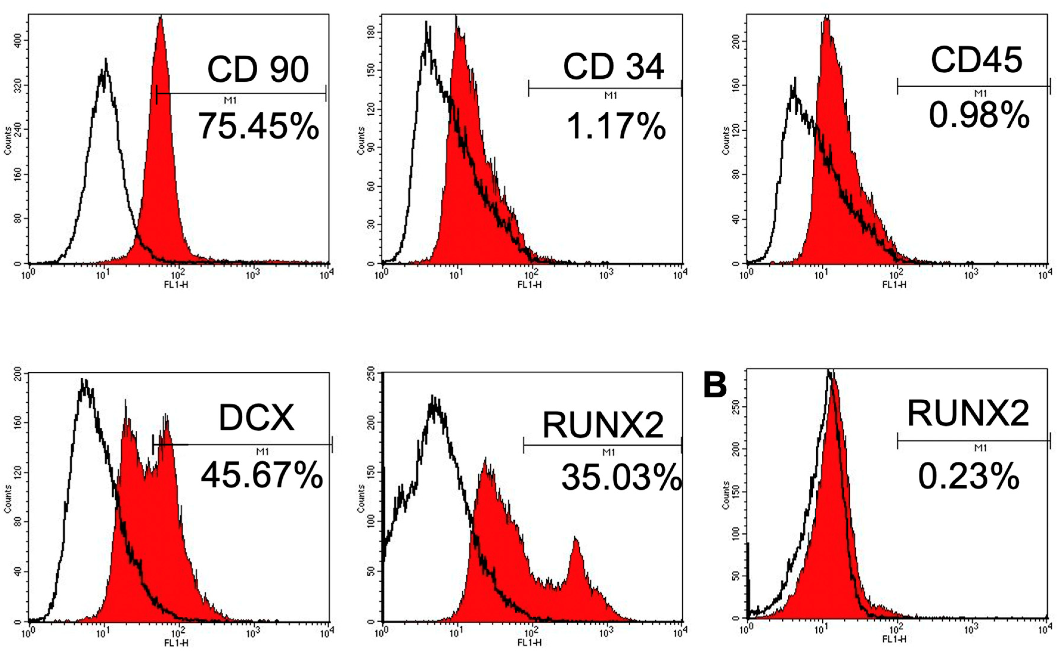 Cells 10 03536 g002b 550